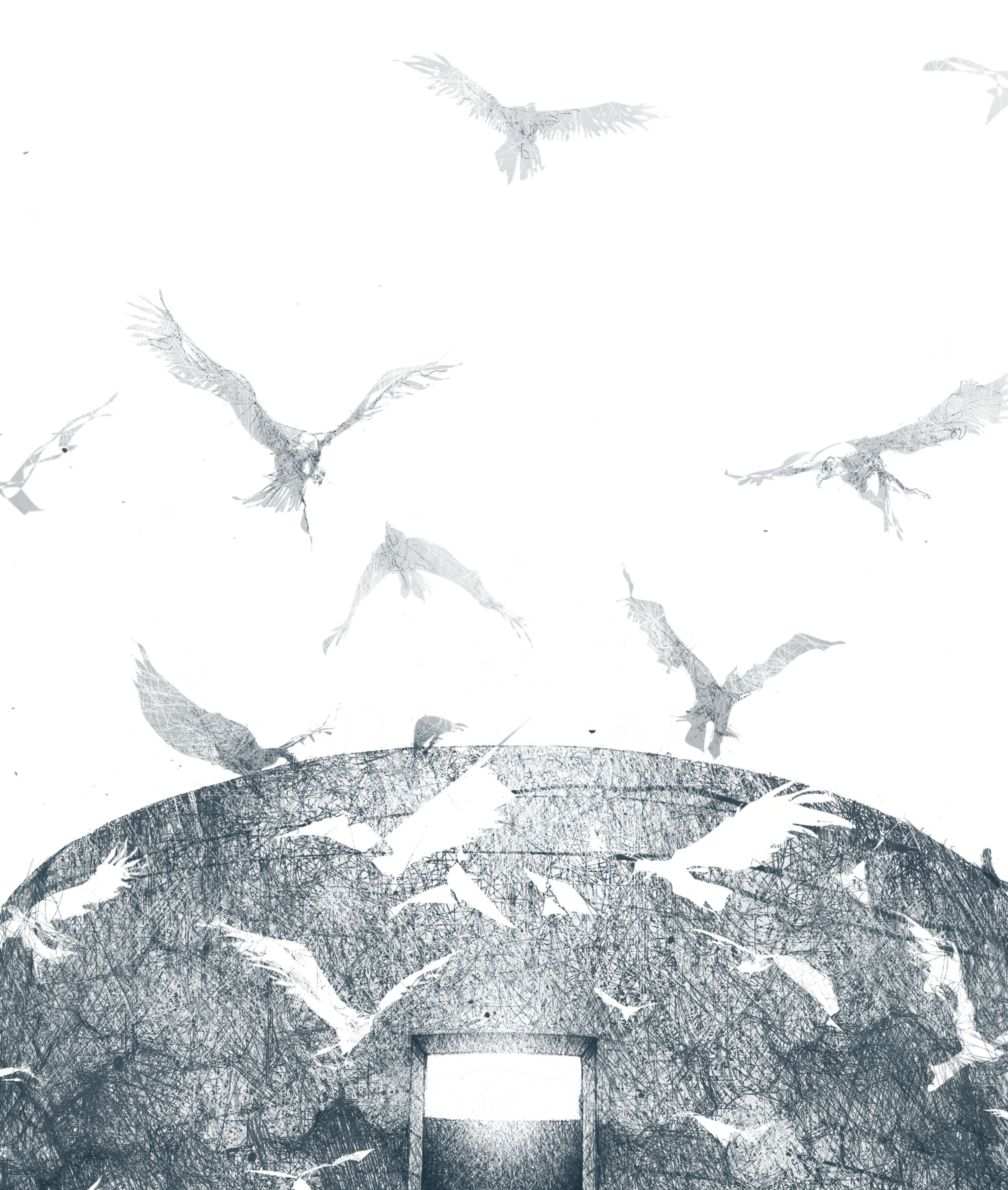 Harvard Divinity Bulletin by Andrew Zbihlyj