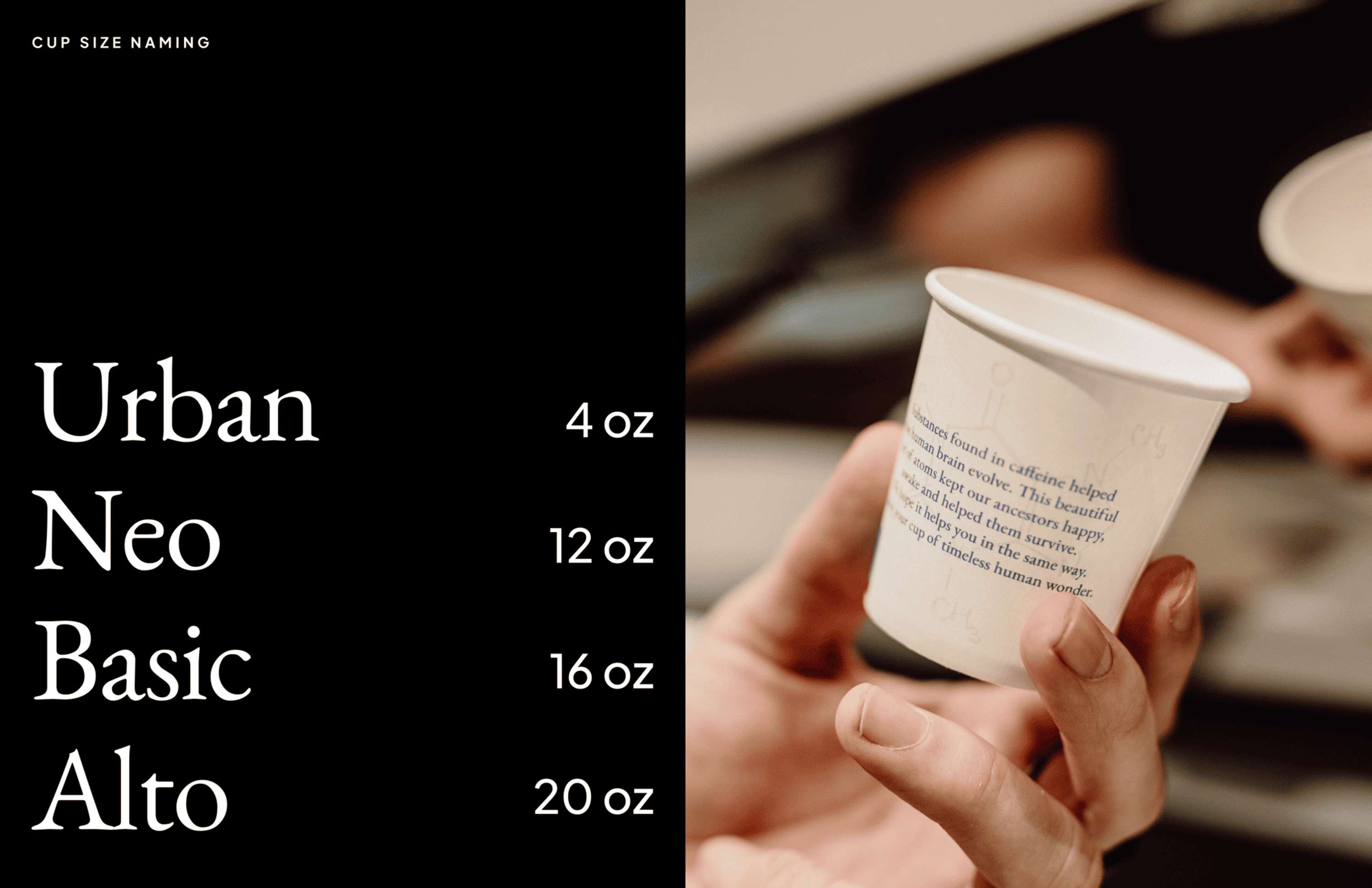 Basics Coffee by Anna Sun