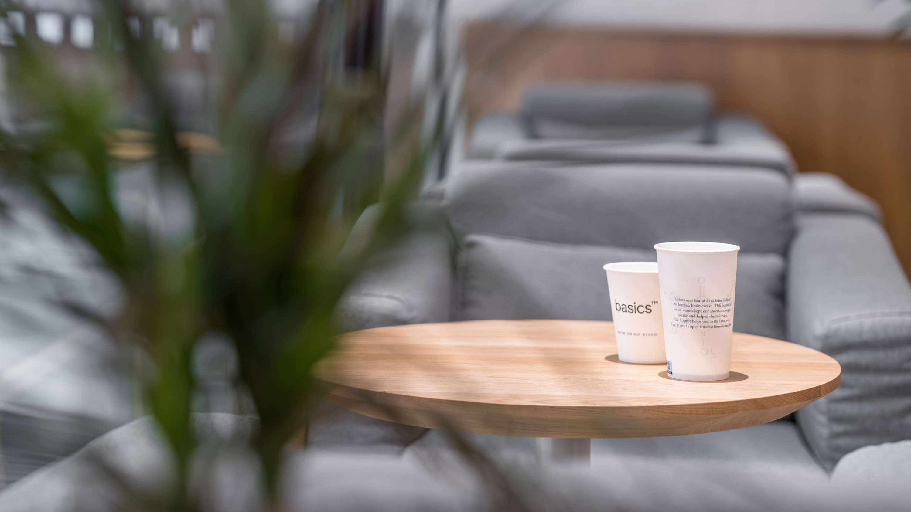 Basics Coffee by Anna Sun