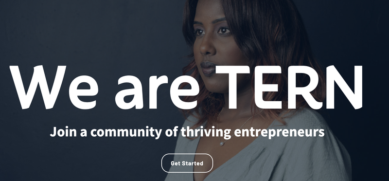 Advisor | TERN (The Entrepreneurial Refugee Network) by Kim Darragon