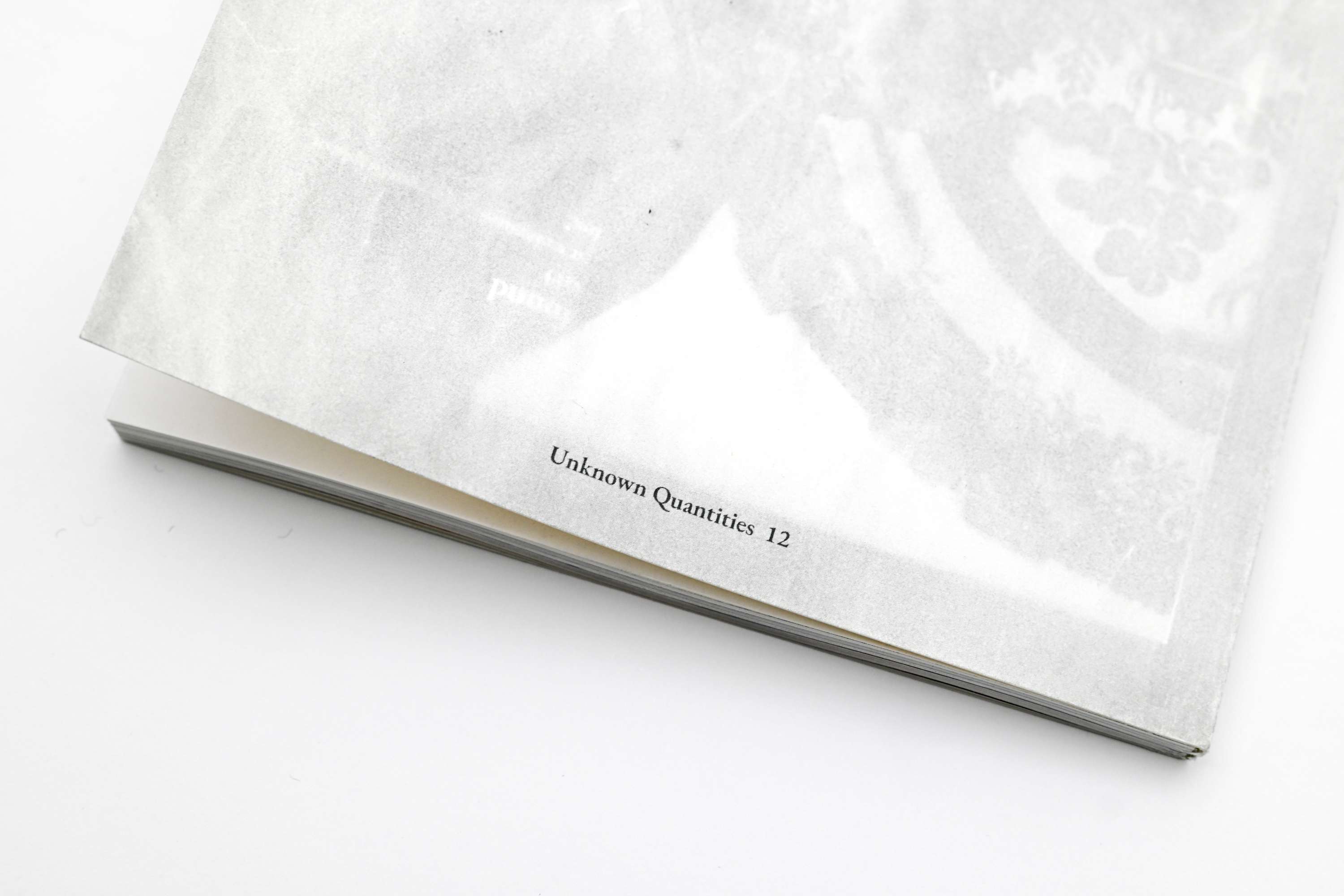 Unknown Quantities 12 by Isabella Millett