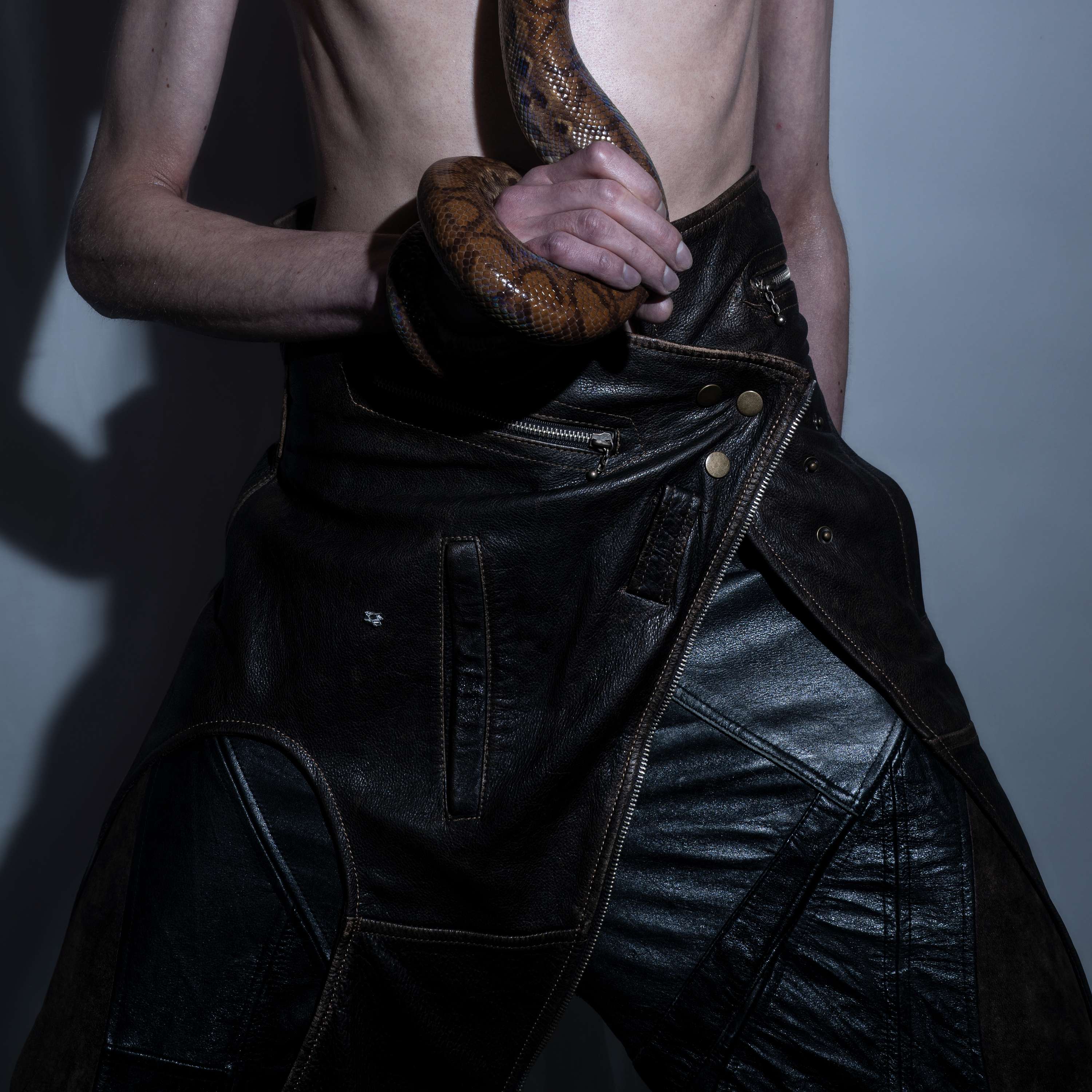 THE YEAR OF THE SNAKE by Laura Dester