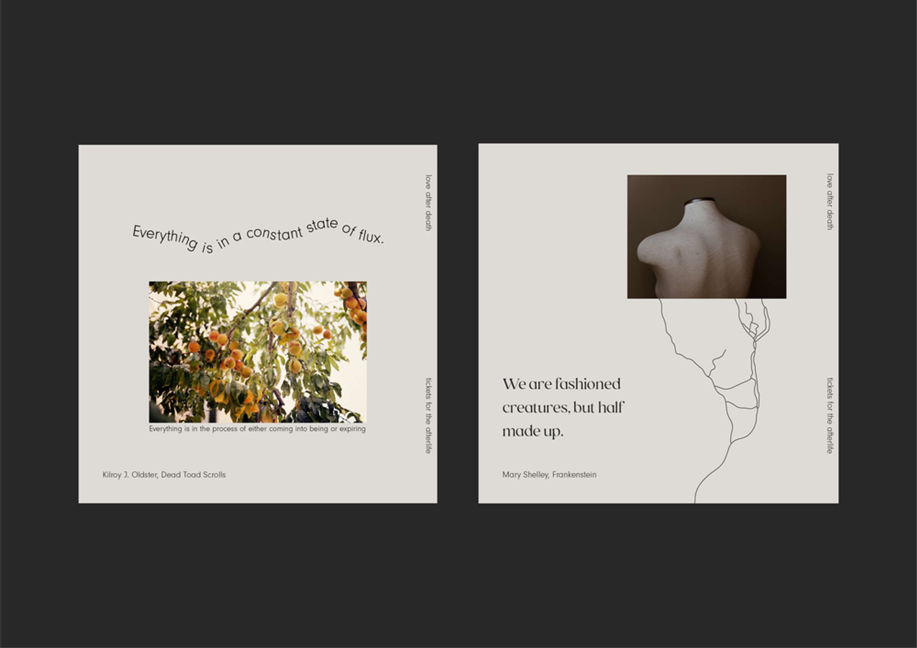 The Death Positive Libraries Interactive Experience by Elena Demireva