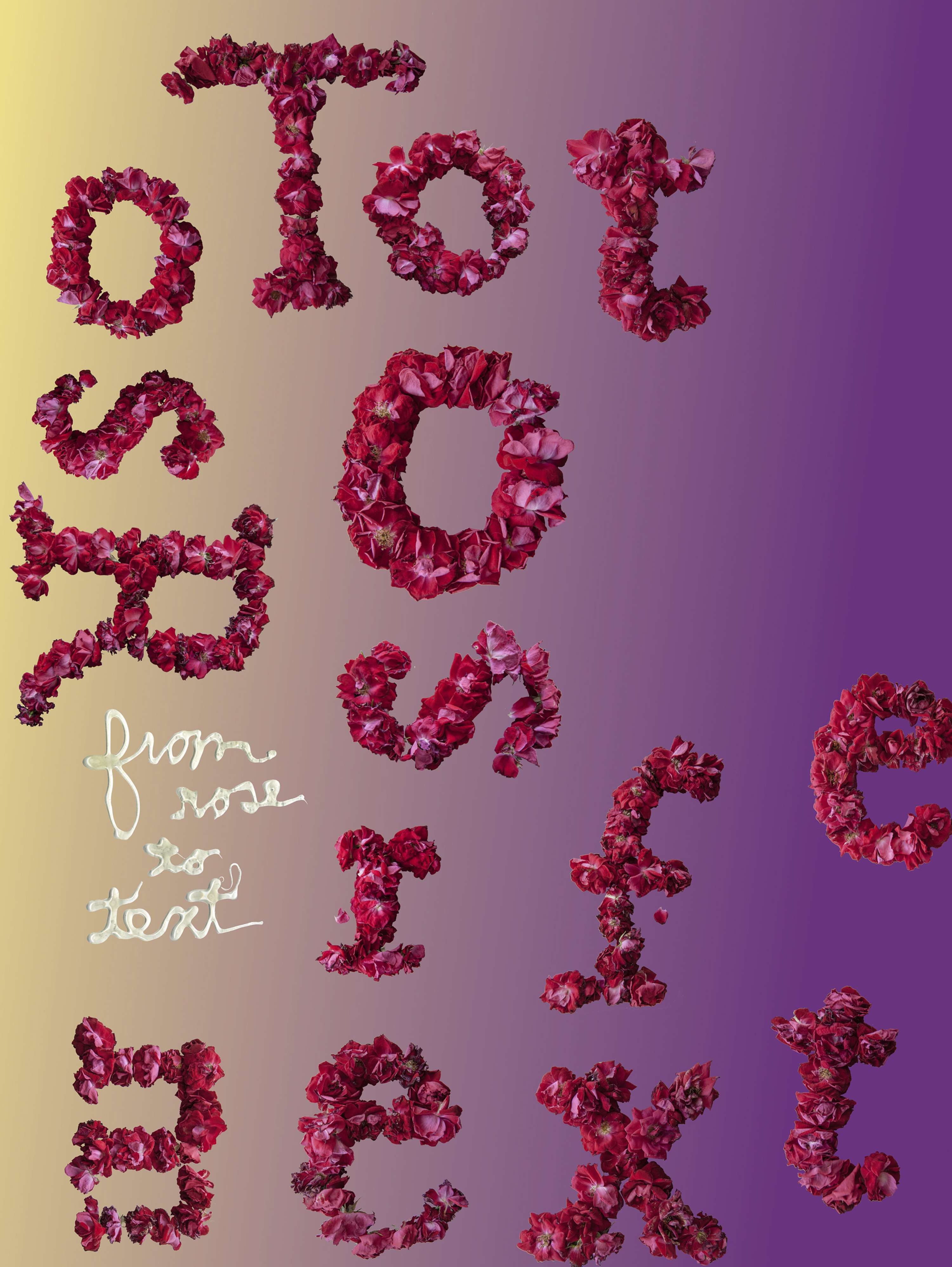 From Rose to Text by Krishna Shanthi