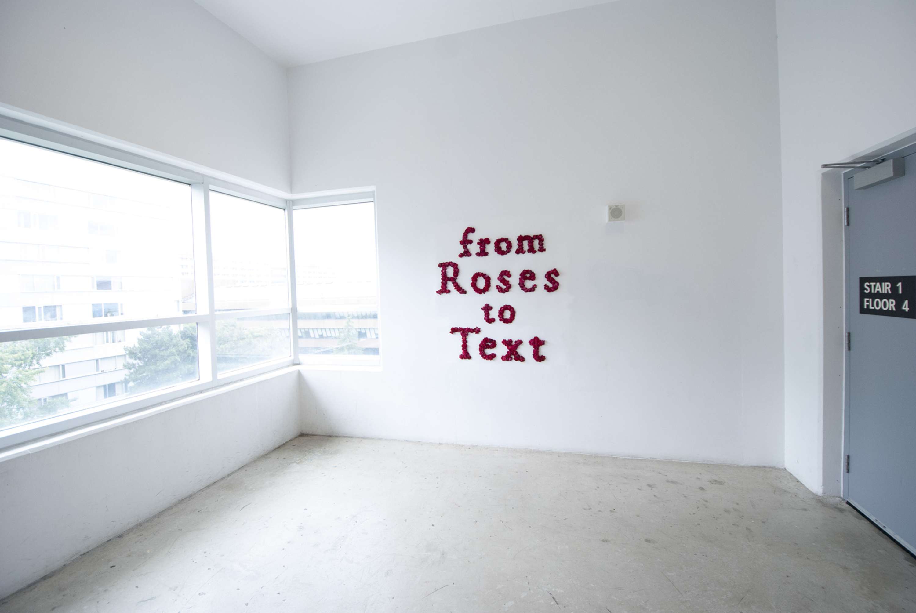 From Rose to Text by Krishna Shanthi