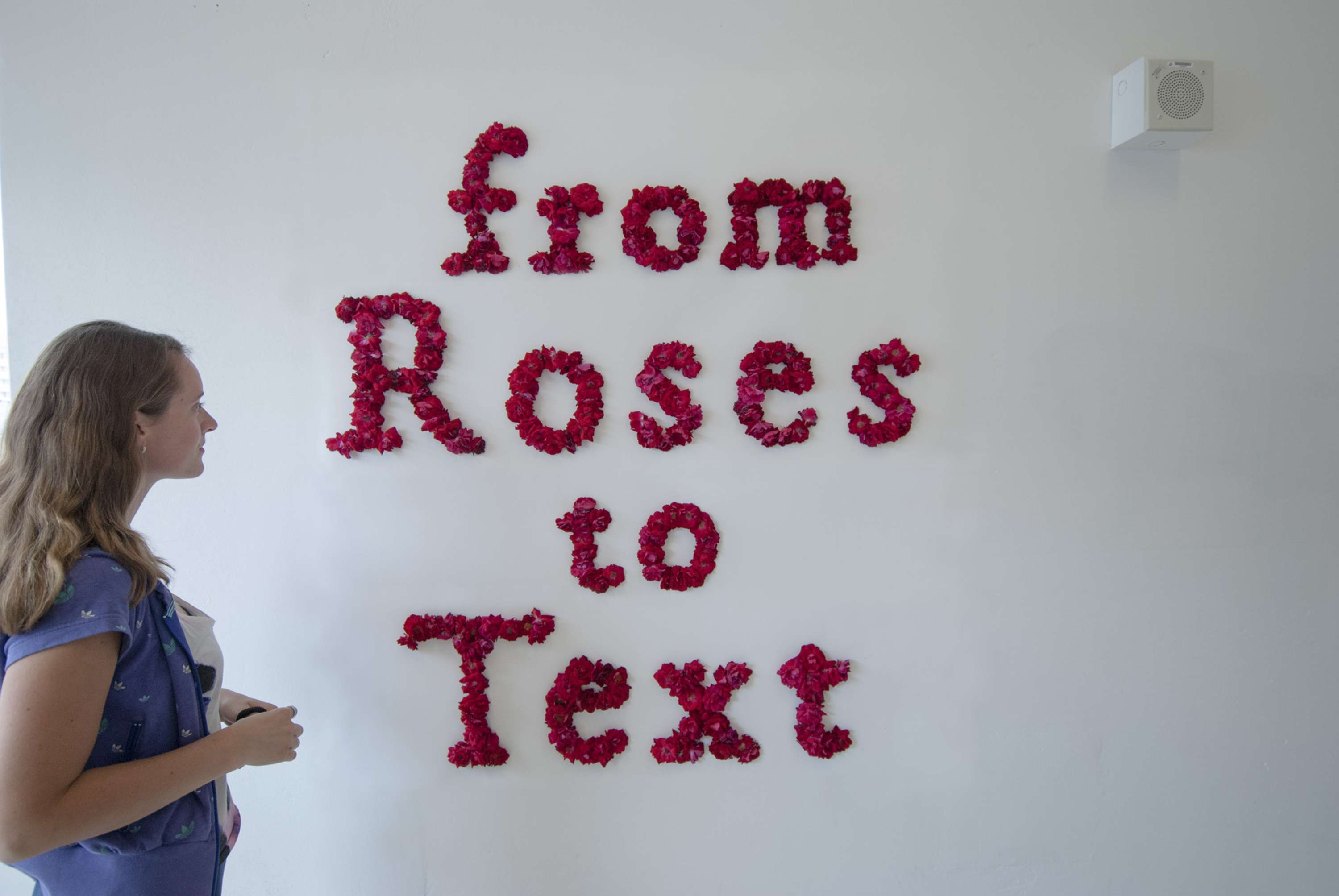 From Rose to Text by Krishna Shanthi