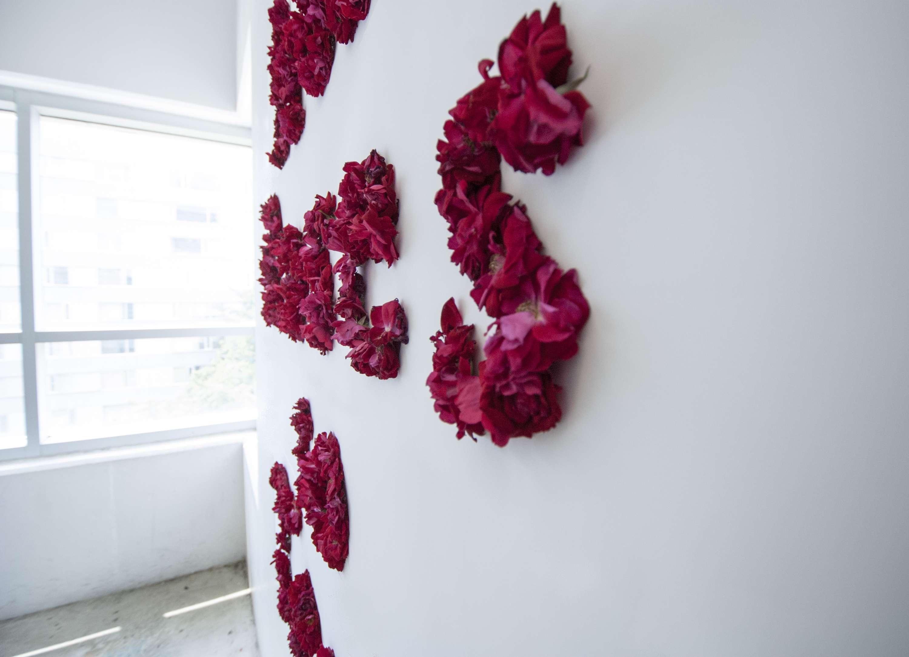 From Rose to Text by Krishna Shanthi