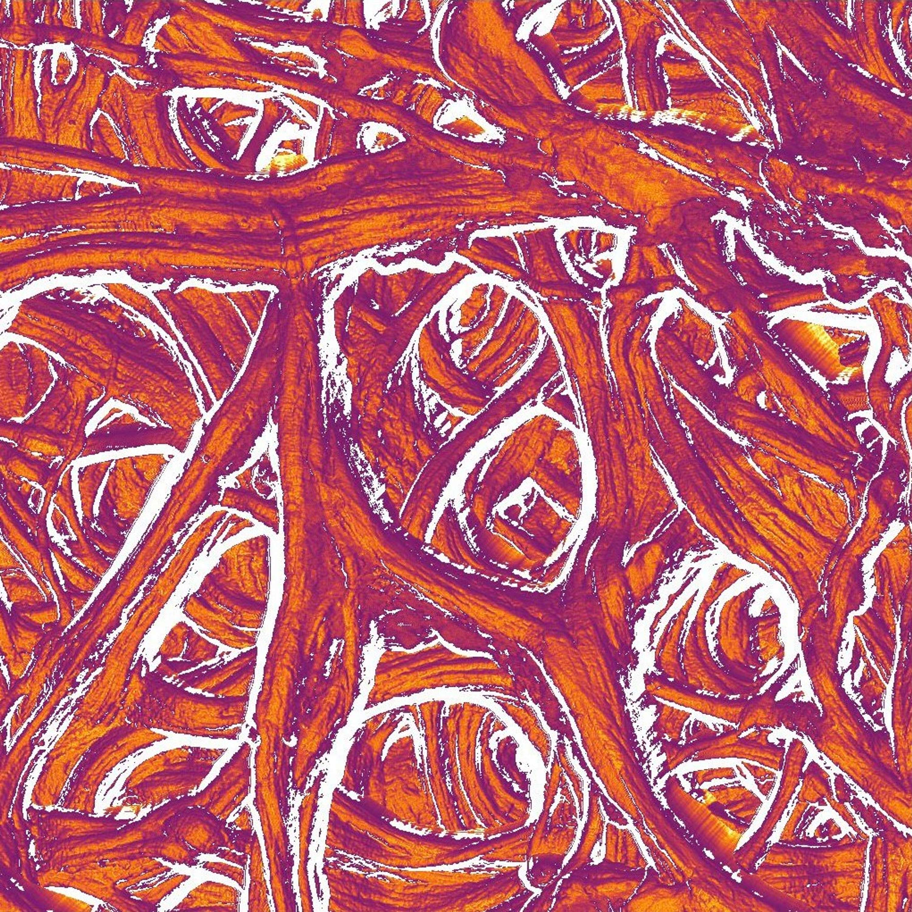 Investigating the Effect of Tissue Engineering   Scaffold Architecture on Cell Morphogenesis by Bharat Jassal