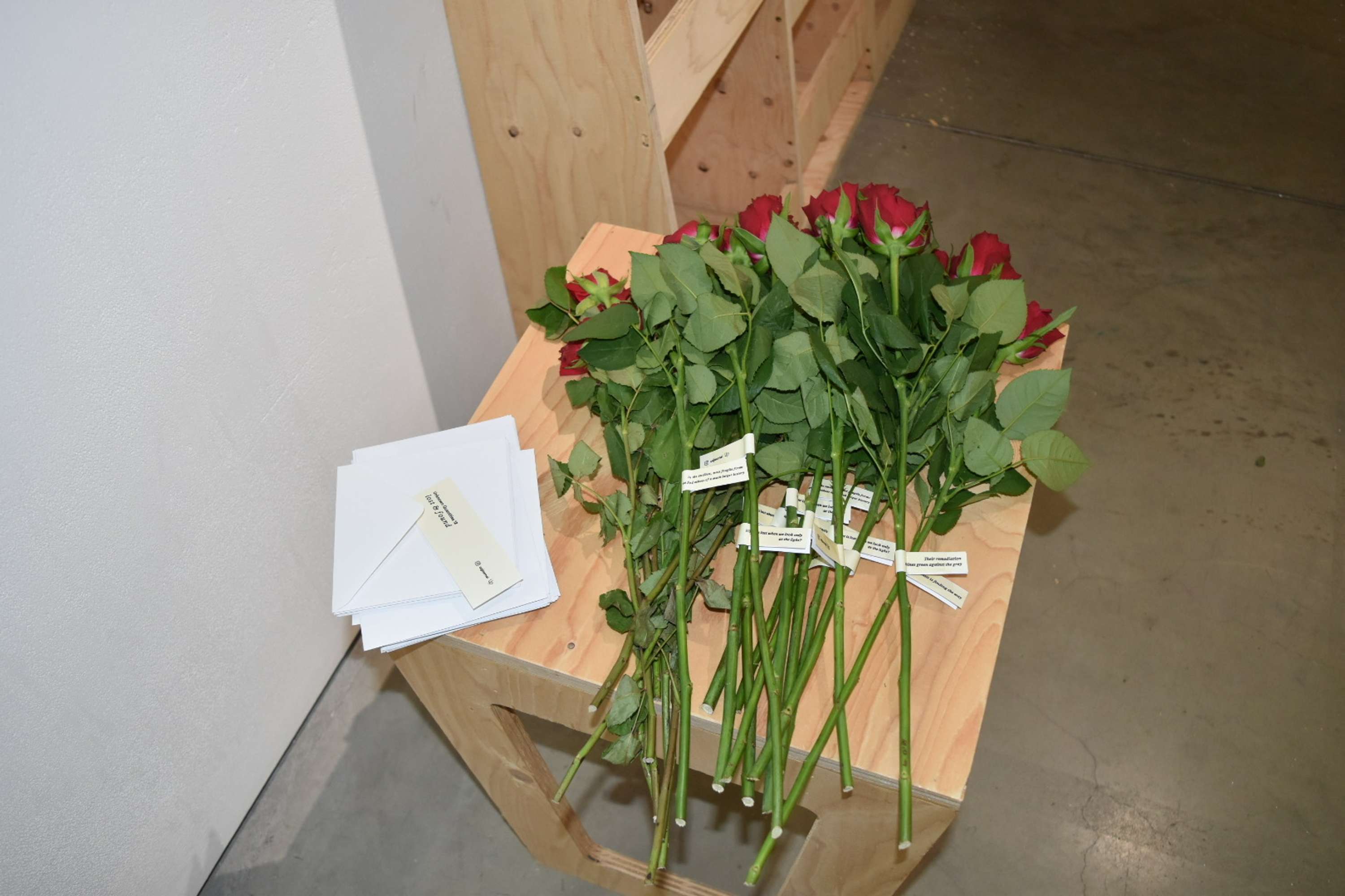 Lost and Found Library: Undone at Lethaby Gallery by Isabella Millett