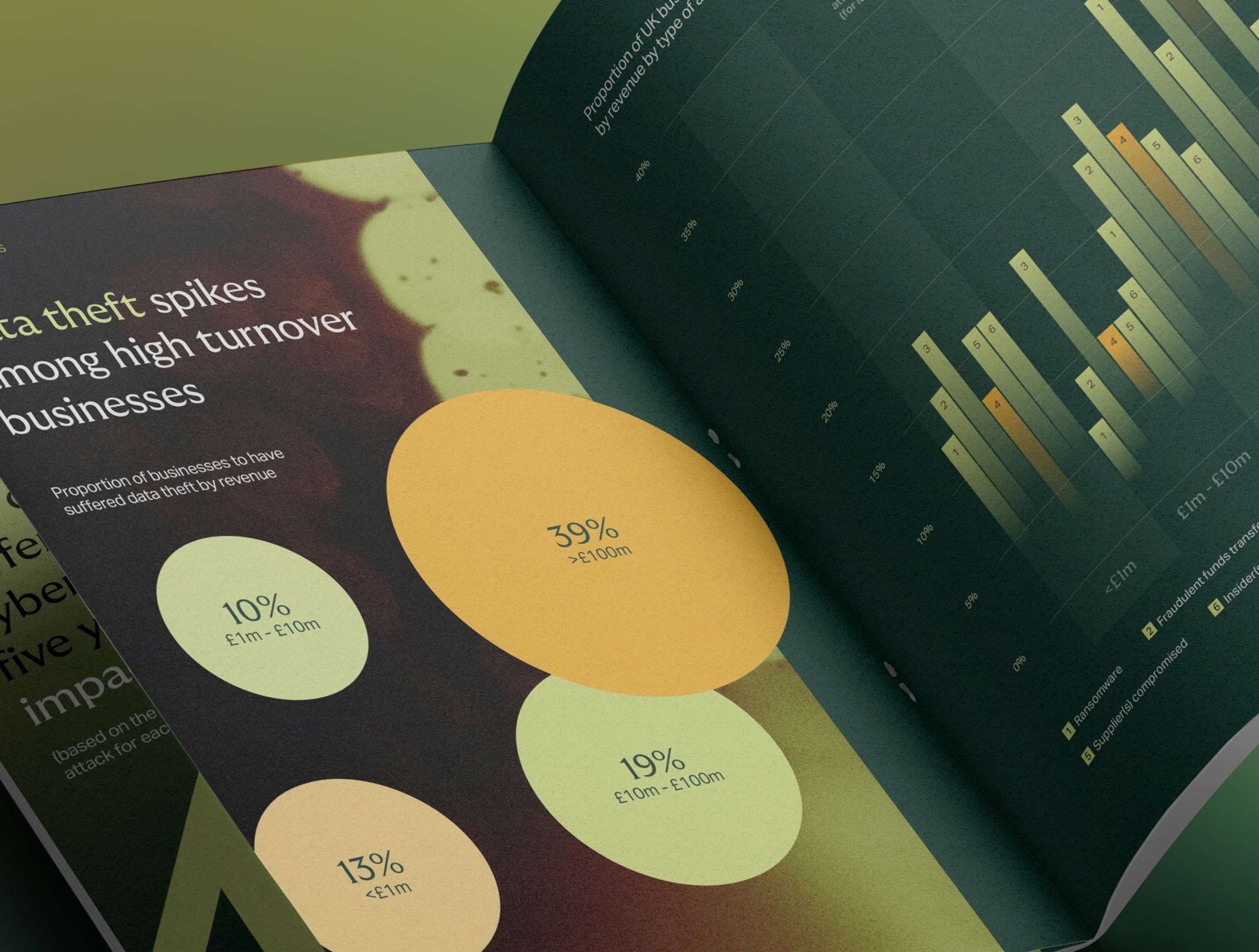 Cyber survey report by Bash Khan