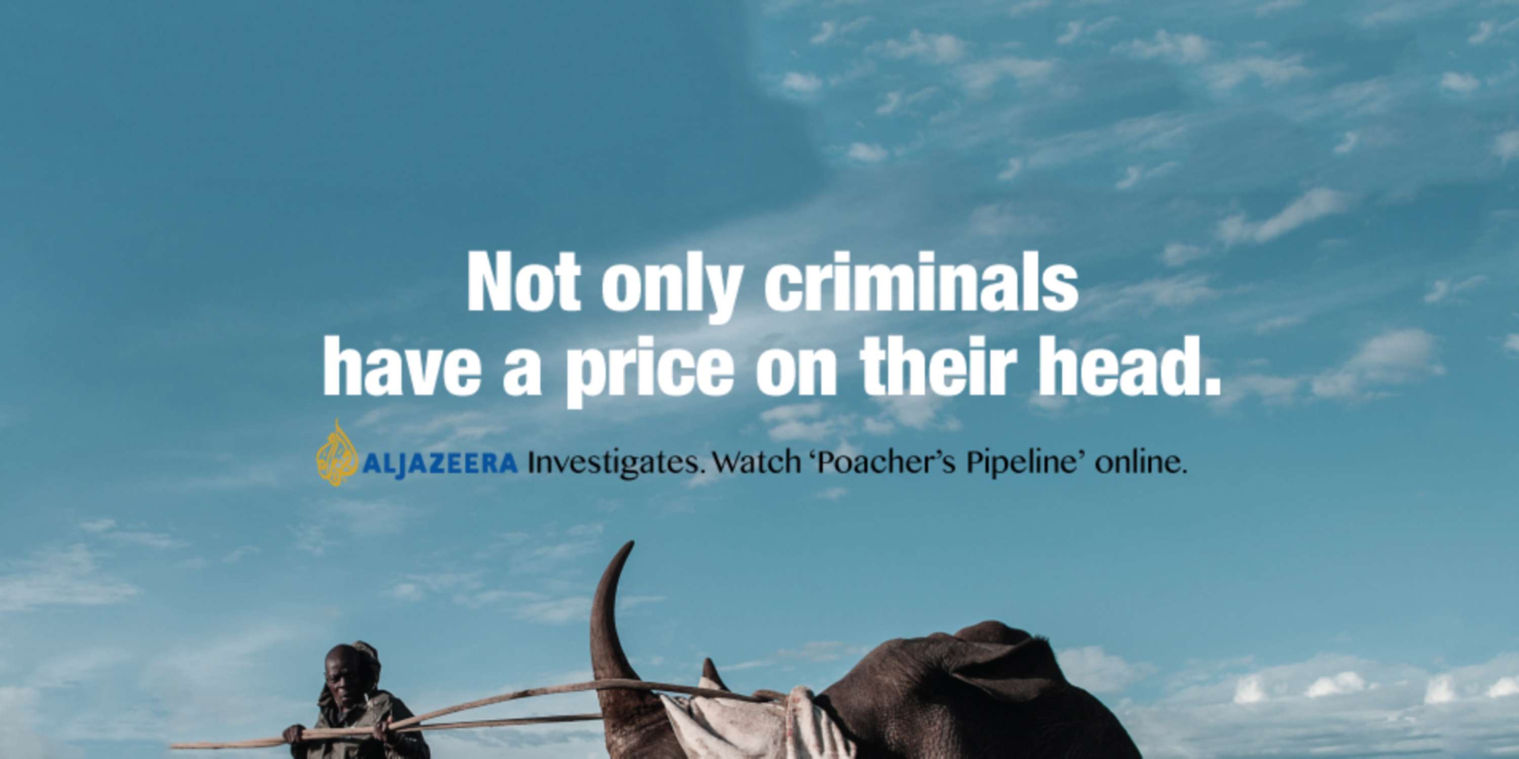 Al Jazeera by Rollo Skinner