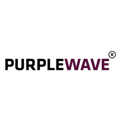 Purple Wave Infocom Ltd