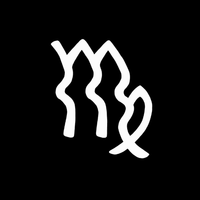 VIRGO COLLECTIVE logo