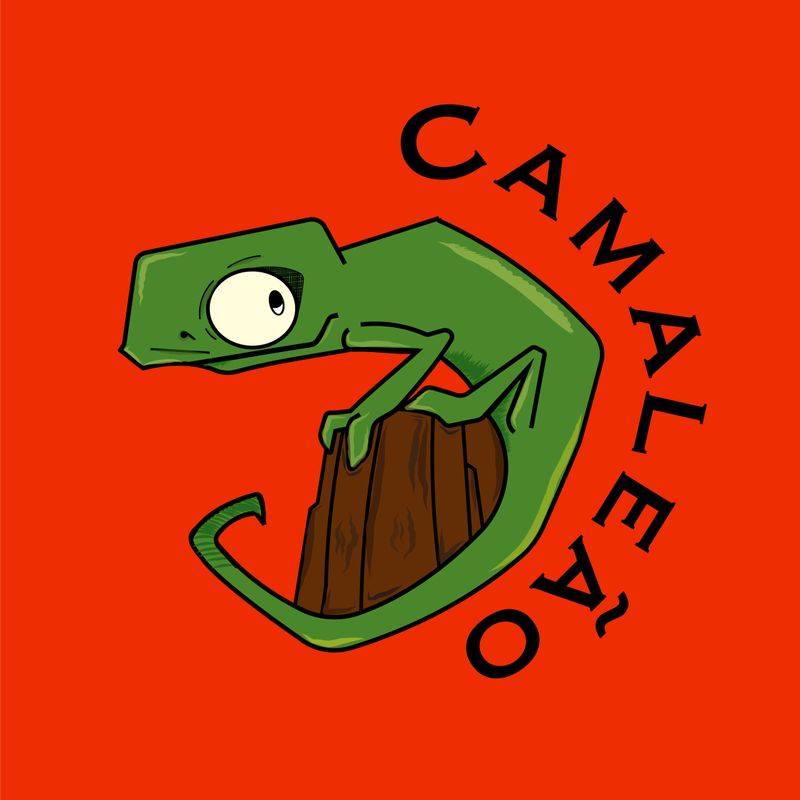 Camaleo by Eniola Omodele
