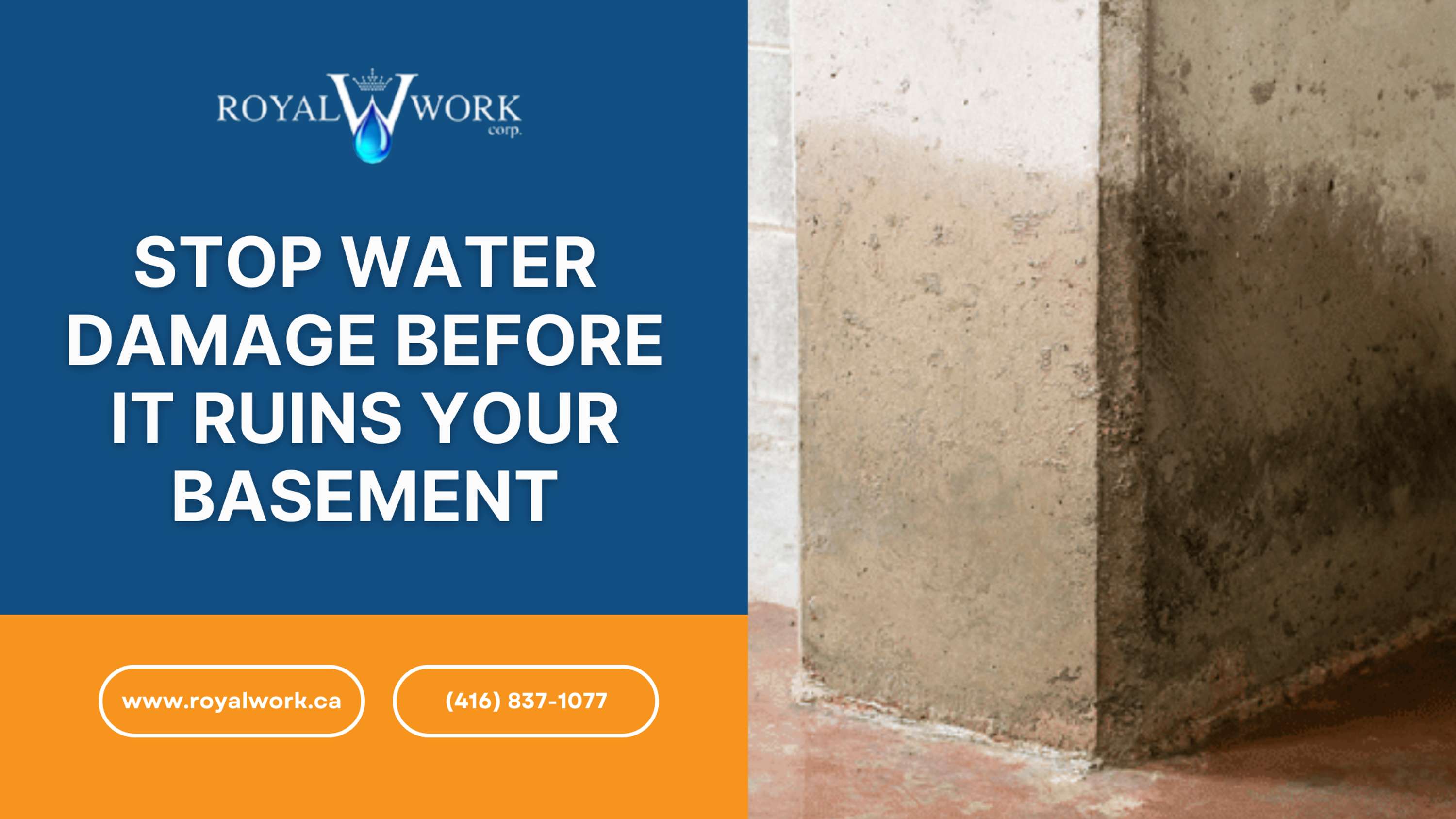 Stop Water Damage Before It Ruins Your Basement by Royal Work work