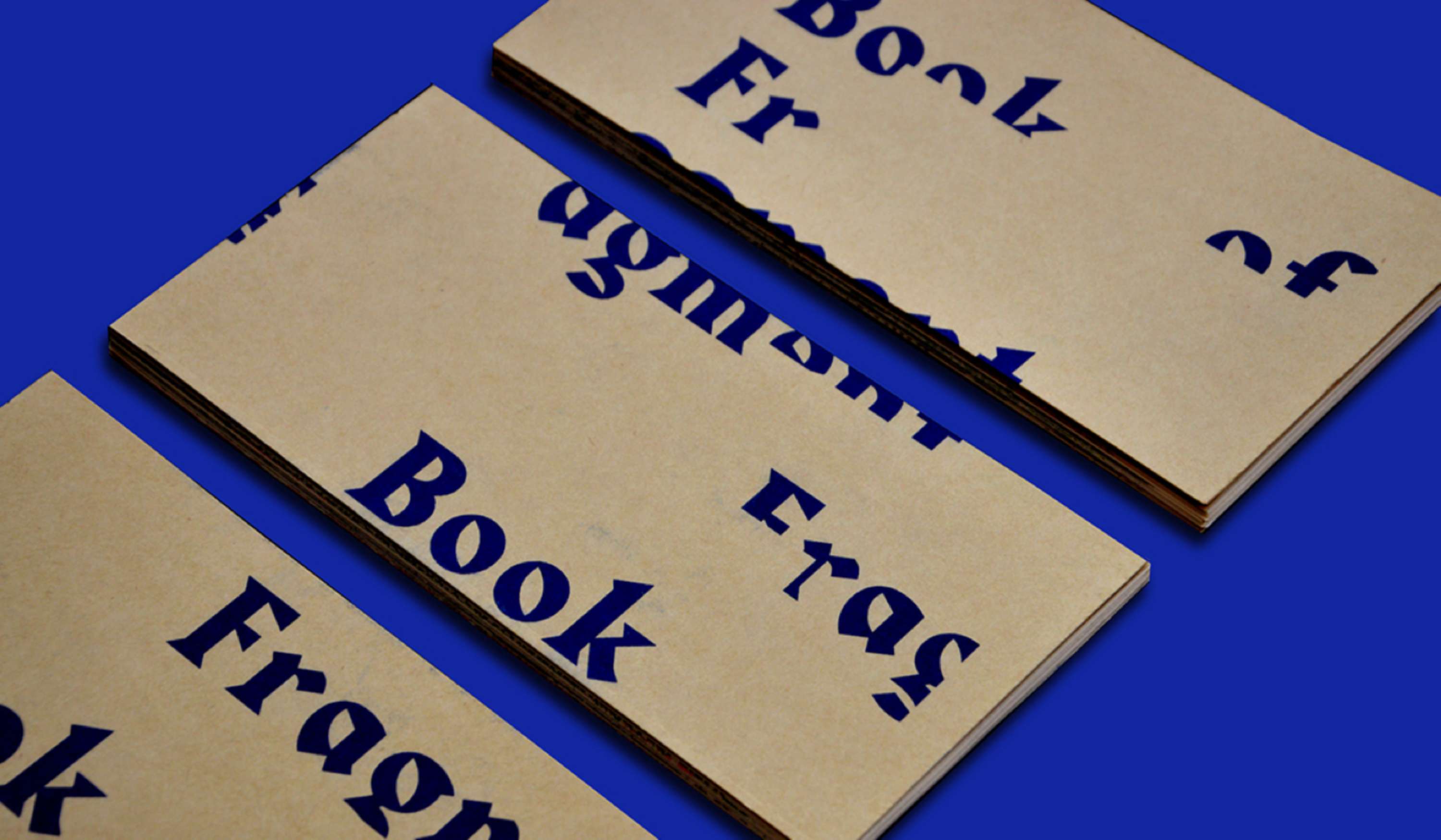 Book of Fragment by Maria Inês Silva