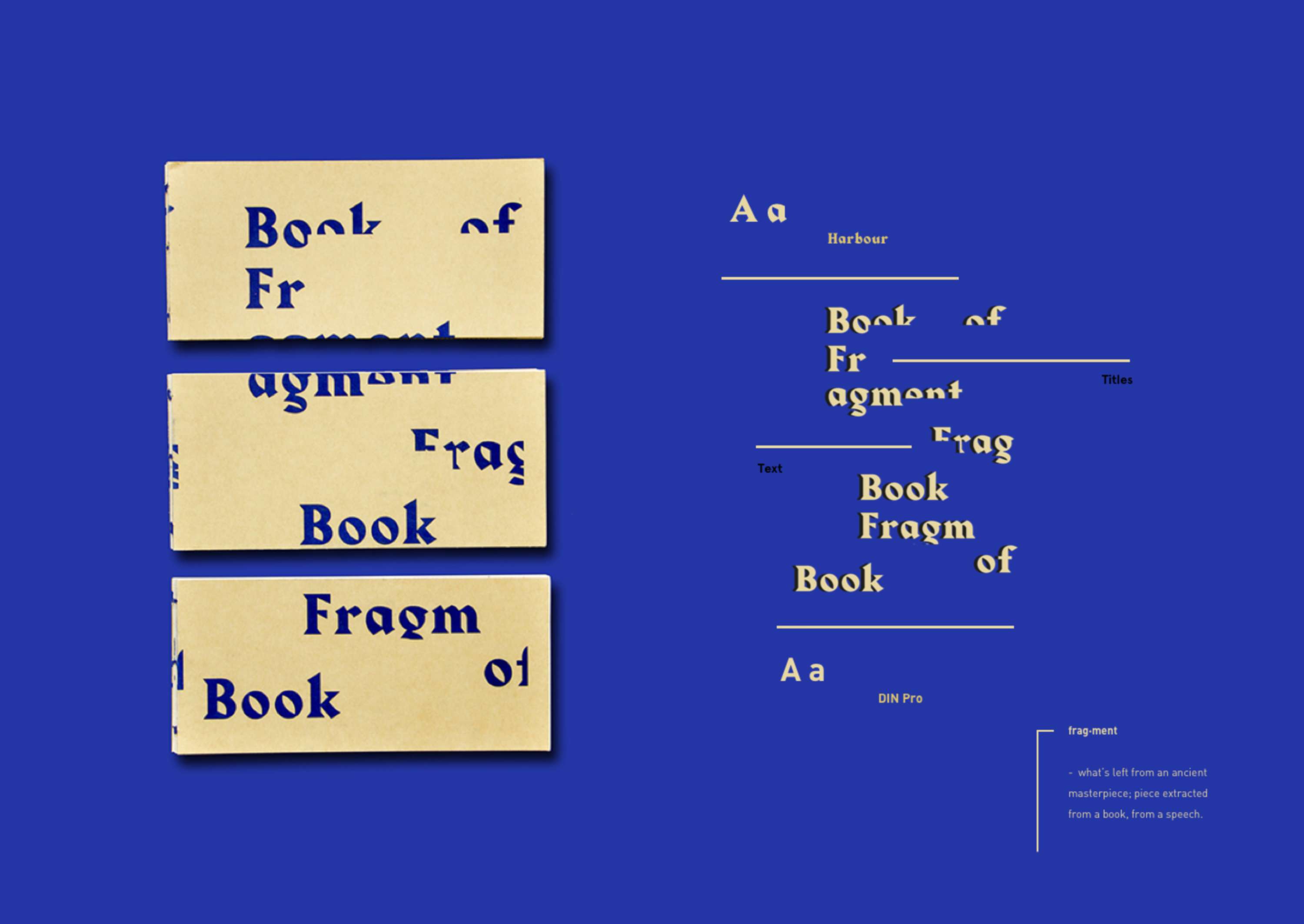 Book of Fragment by Maria Inês Silva