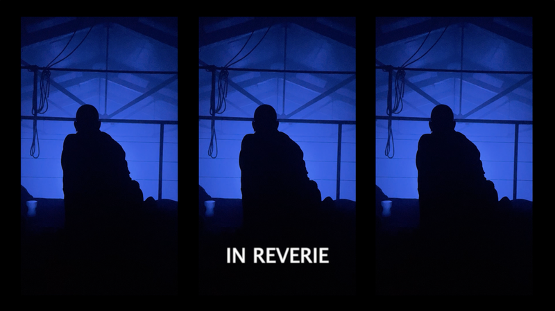 Mostra In Reverie by Giovanny Estrella Talentti