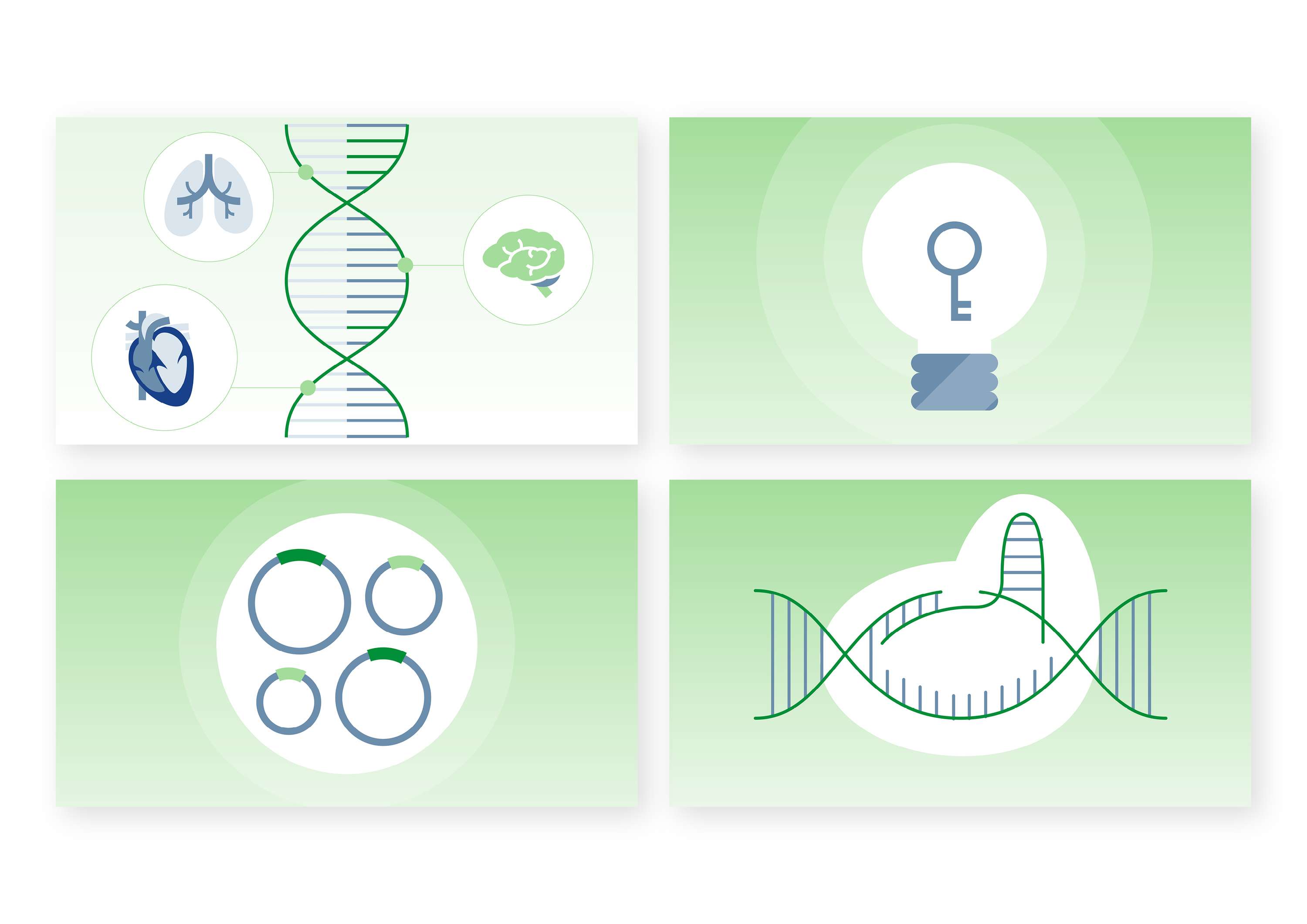 Genscript Product Explainer by Kallie Ennever