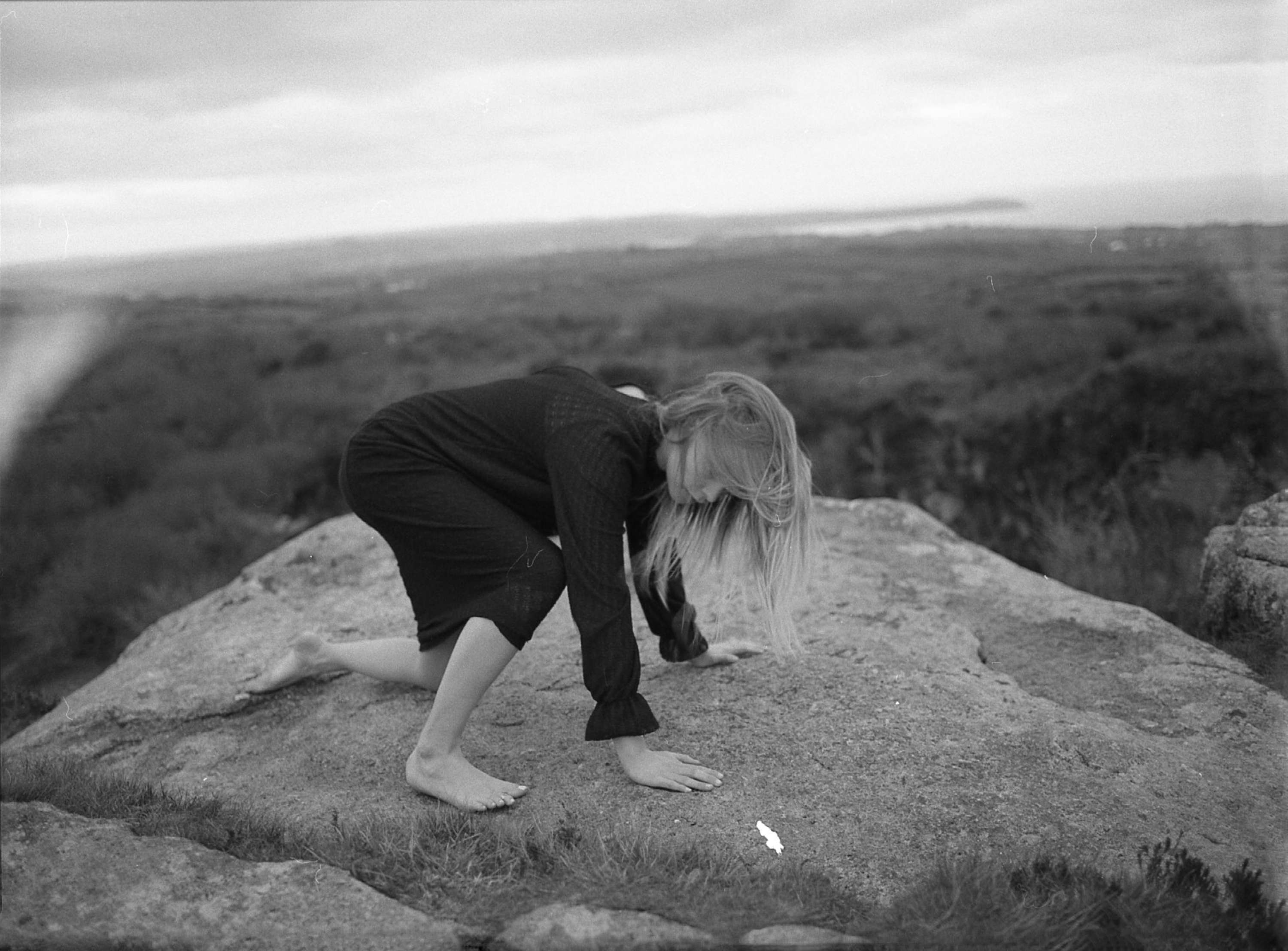 Untitled by Alice Cooke