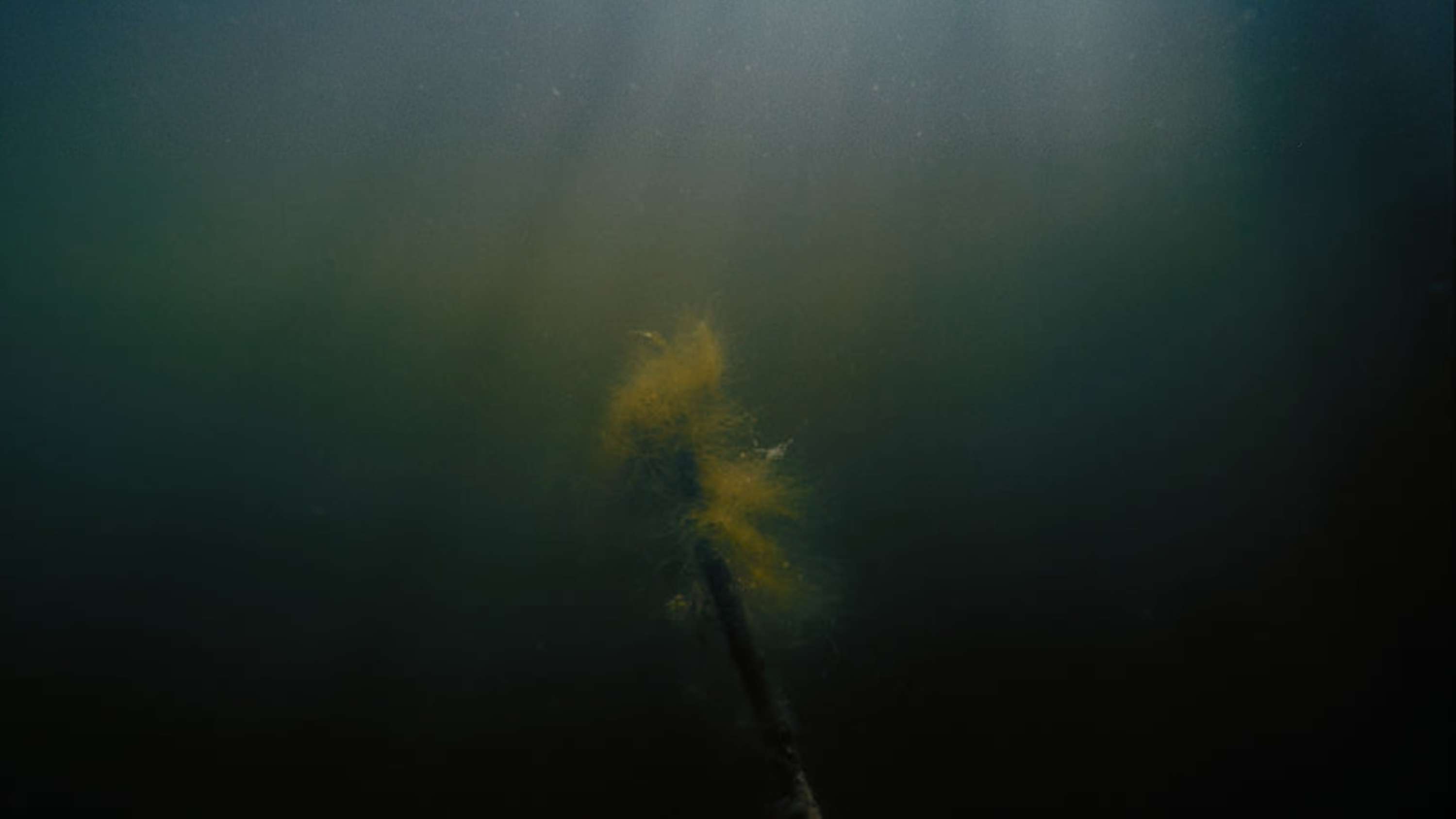 W A T E R F A L L by Claire Oakley