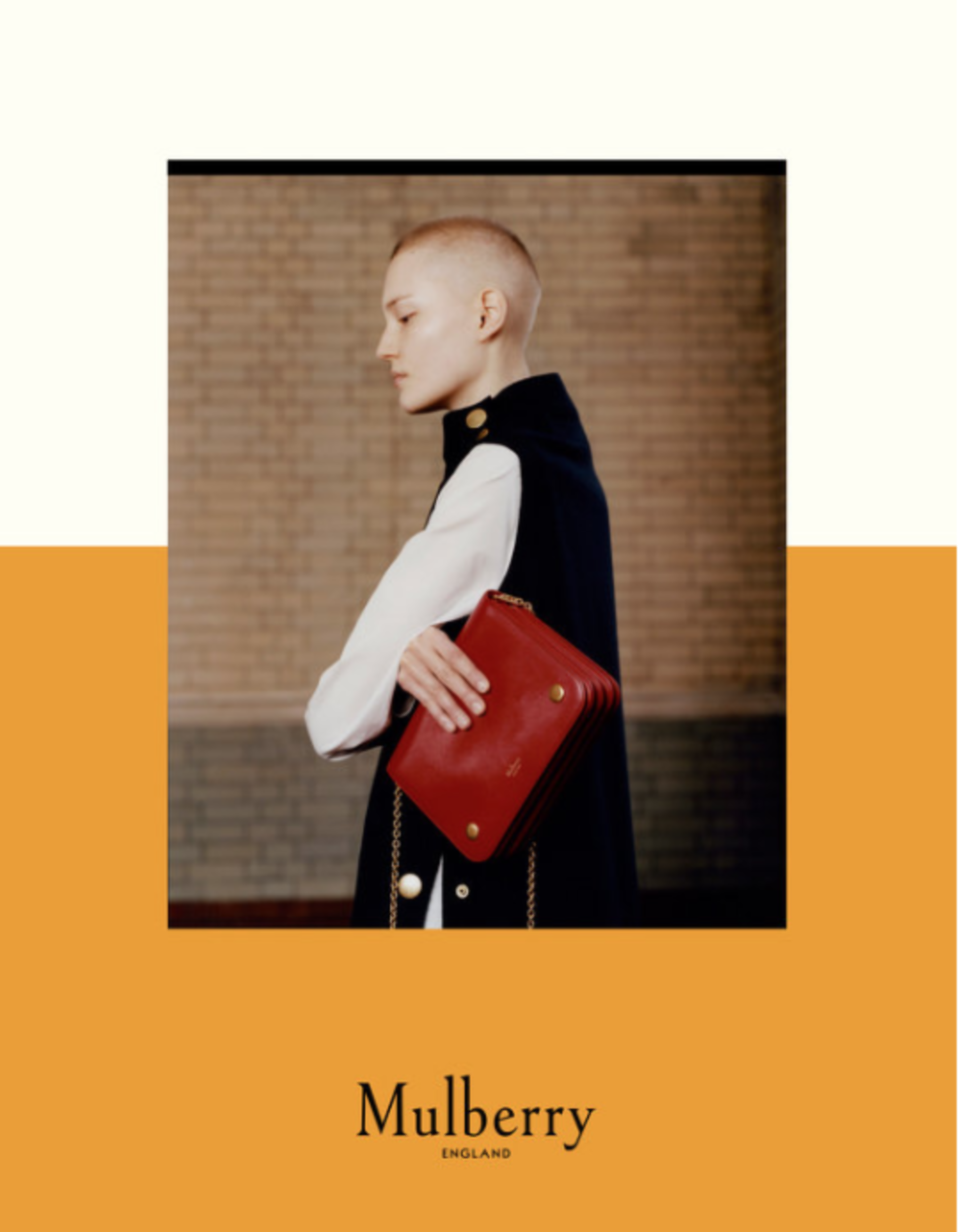Mulberry by Alice Guard