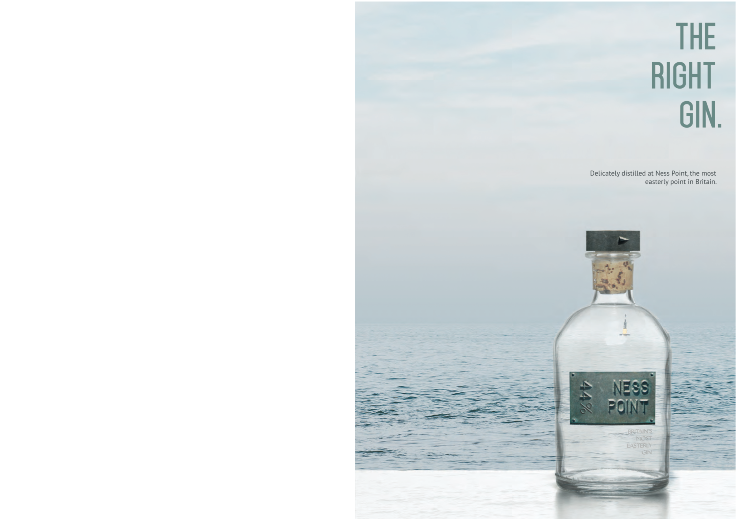 Ness Point Gin by Sophia VJ Forte