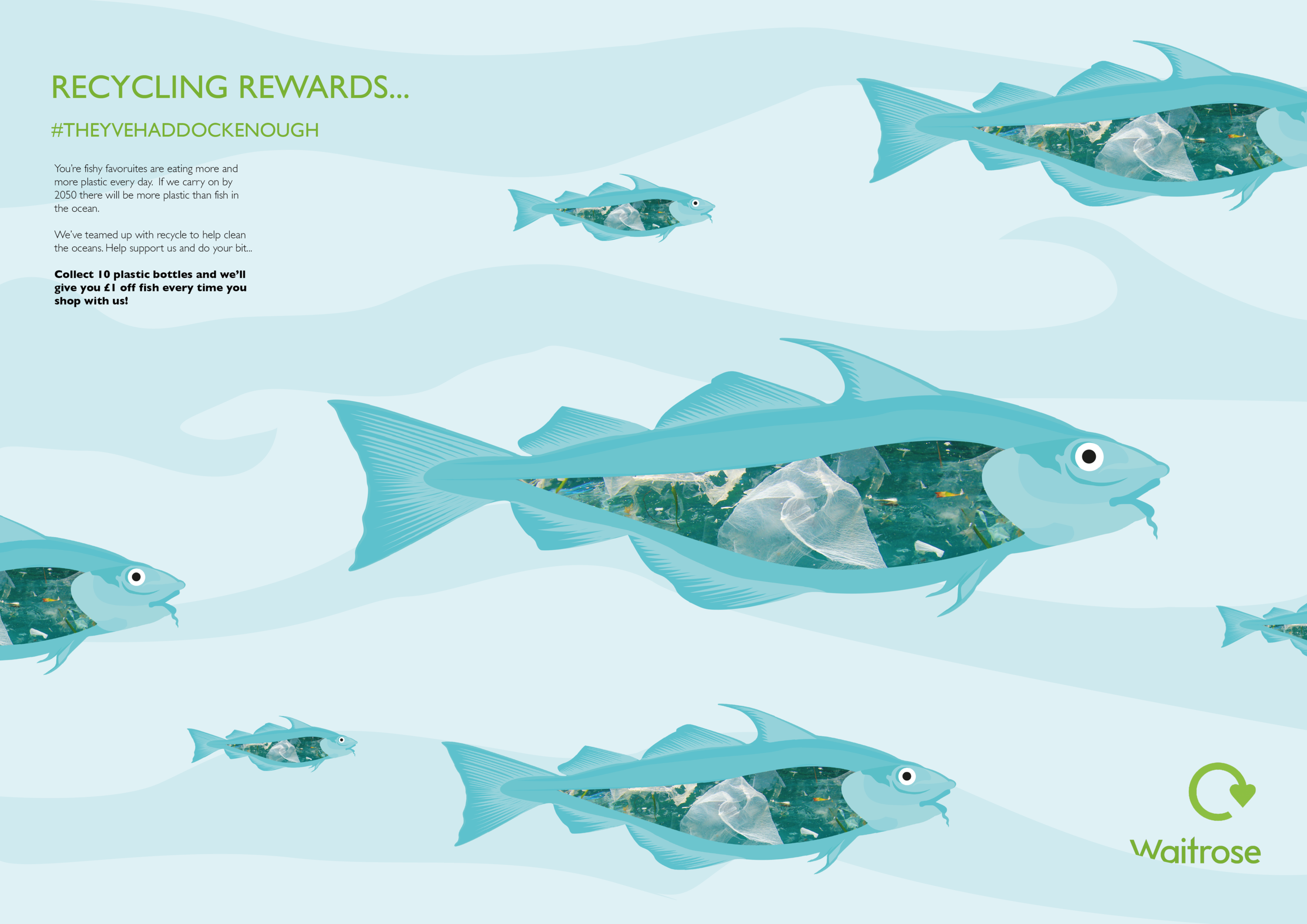 # They've Haddock Enough by Rosie Thomas