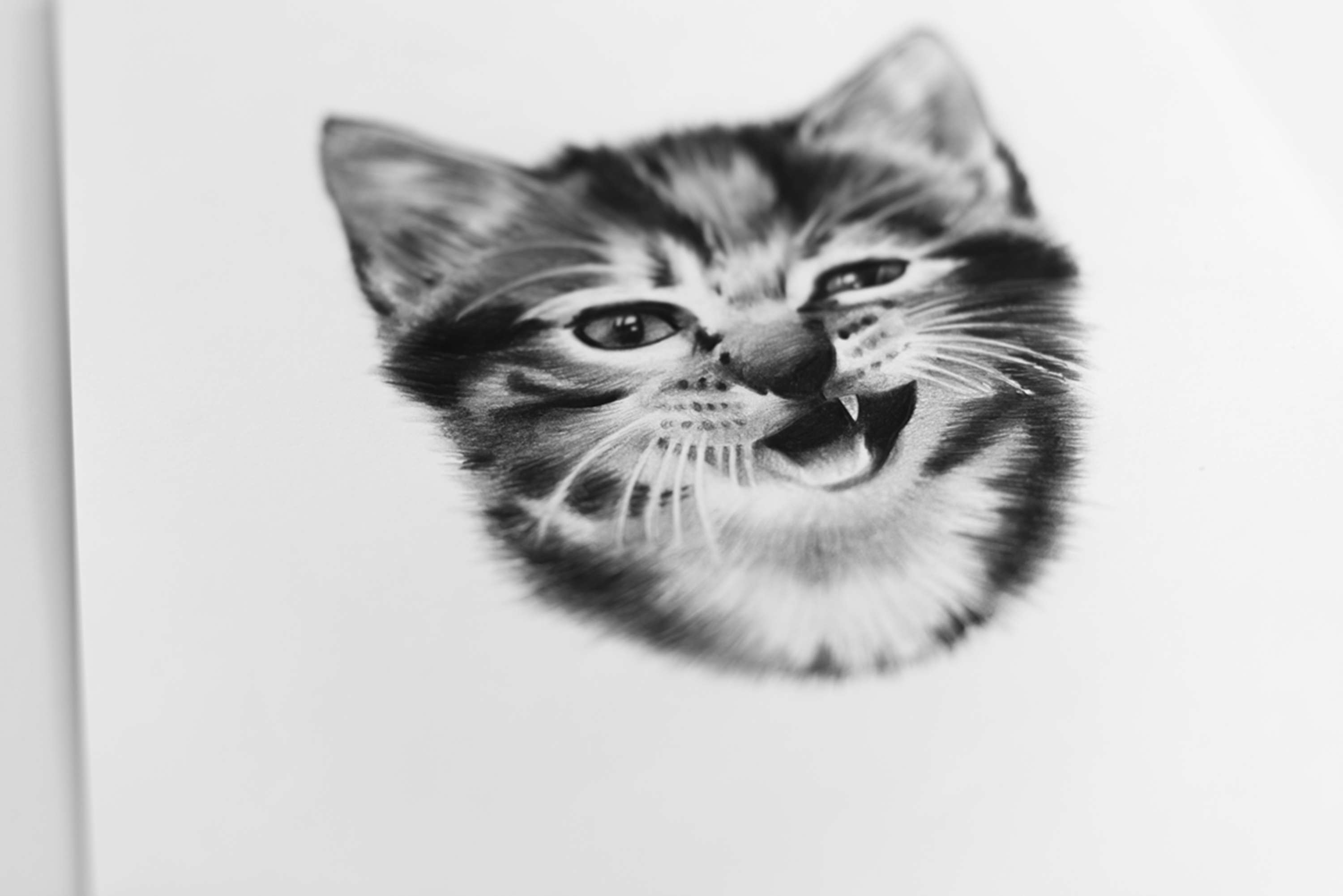 Kingdom Wear - Custom Illustrations by Alex Harris