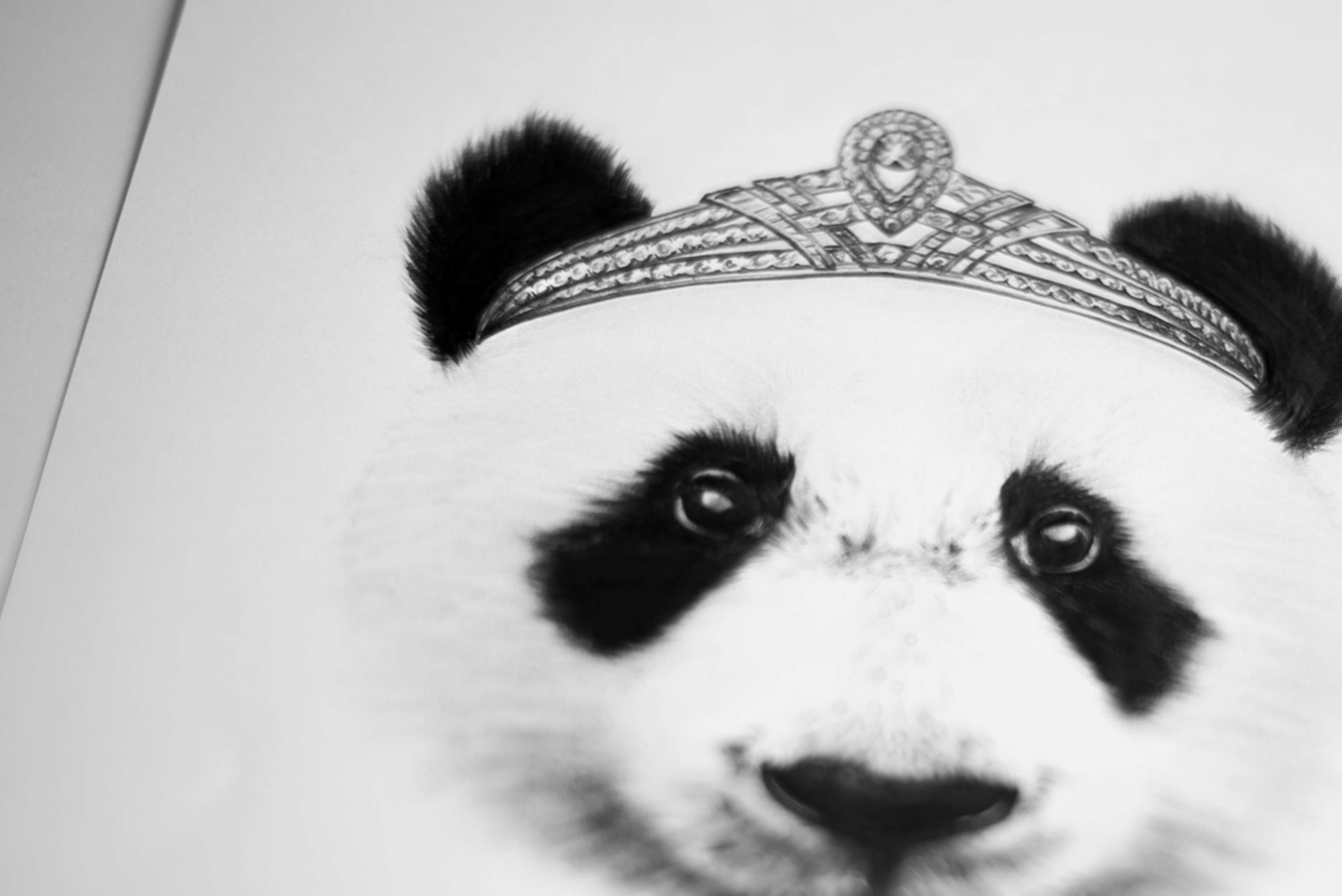 Kingdom Wear - Custom Illustrations by Alex Harris