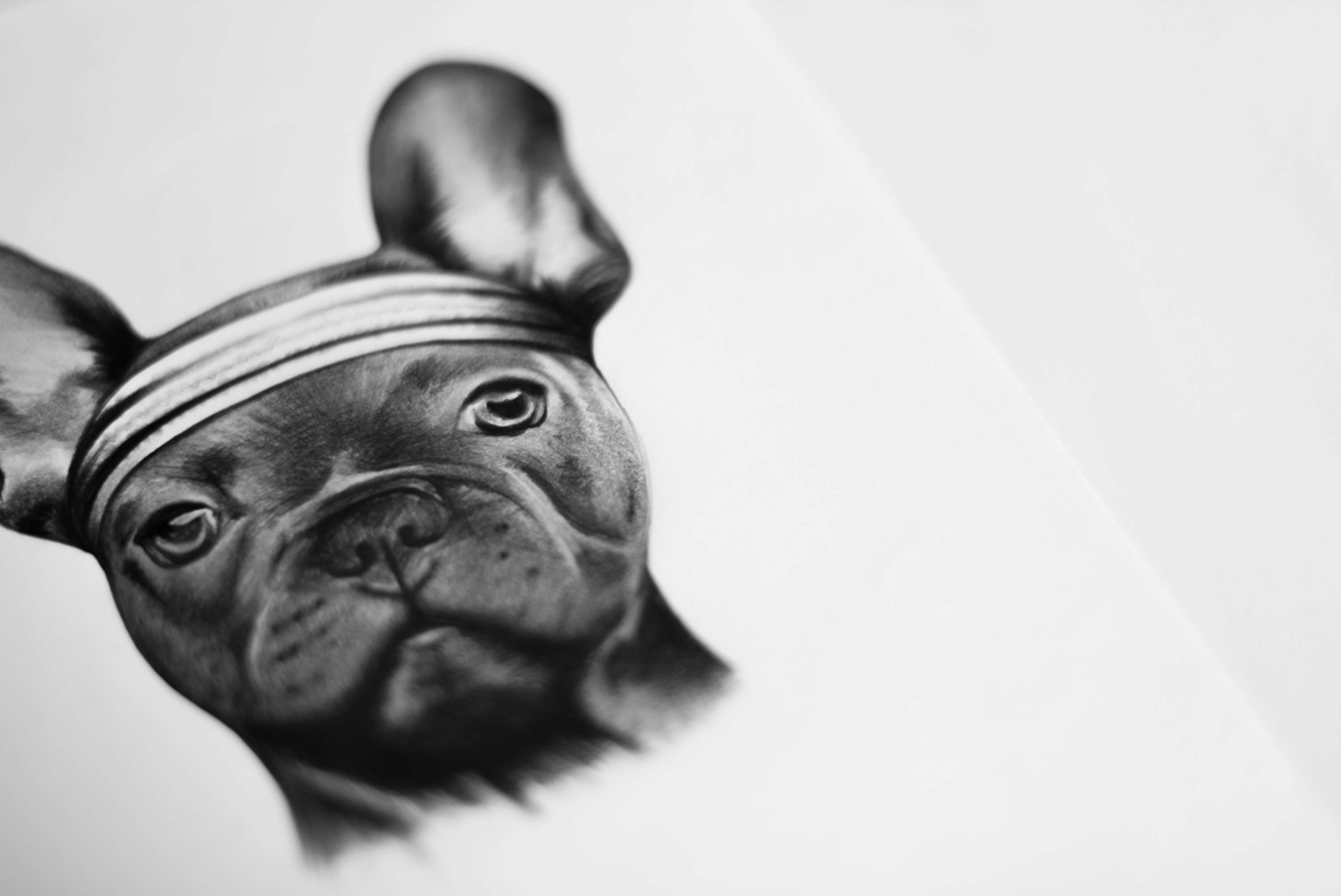 Kingdom Wear - Custom Illustrations by Alex Harris