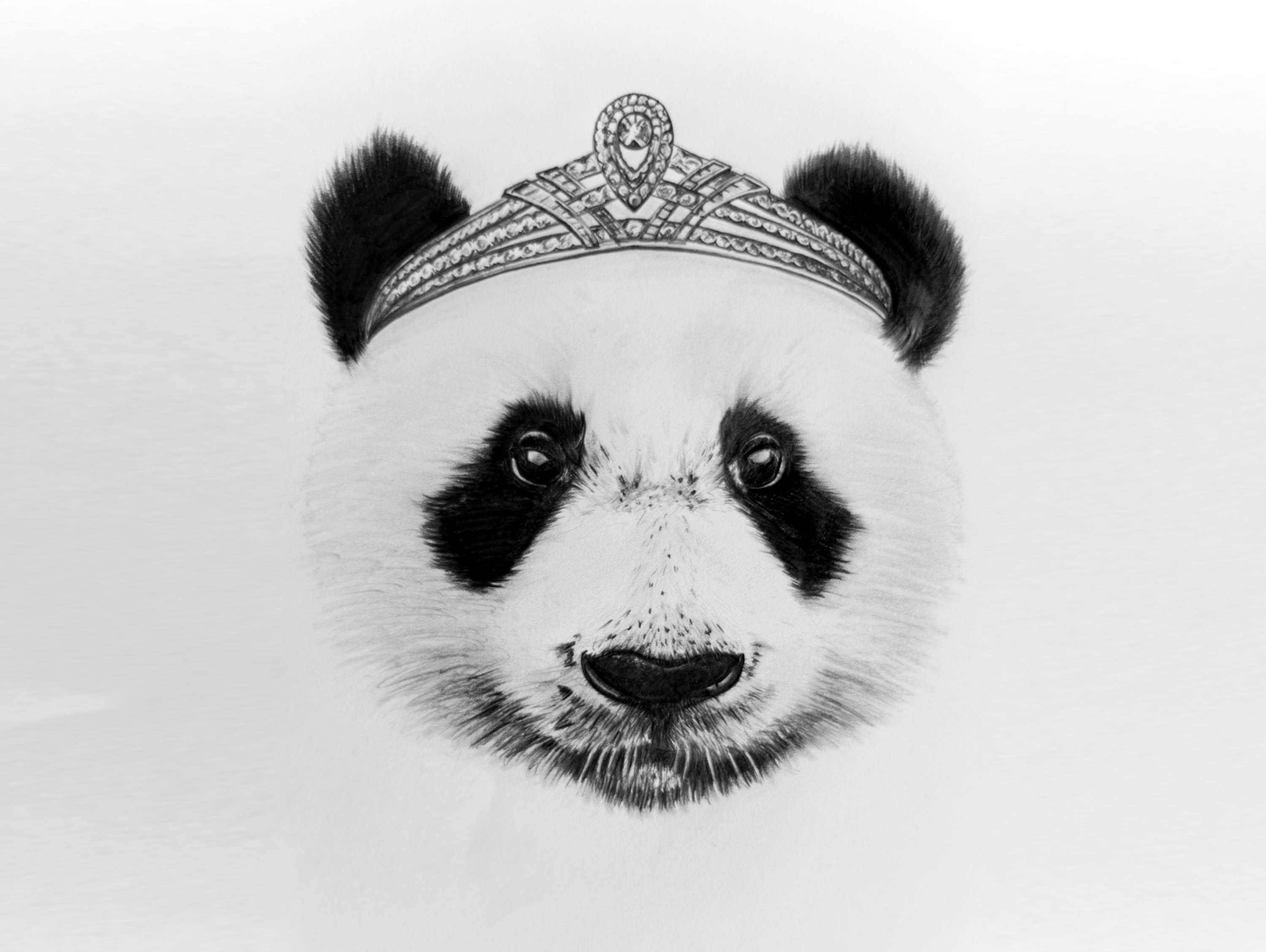 Kingdom Wear - Custom Illustrations by Alex Harris