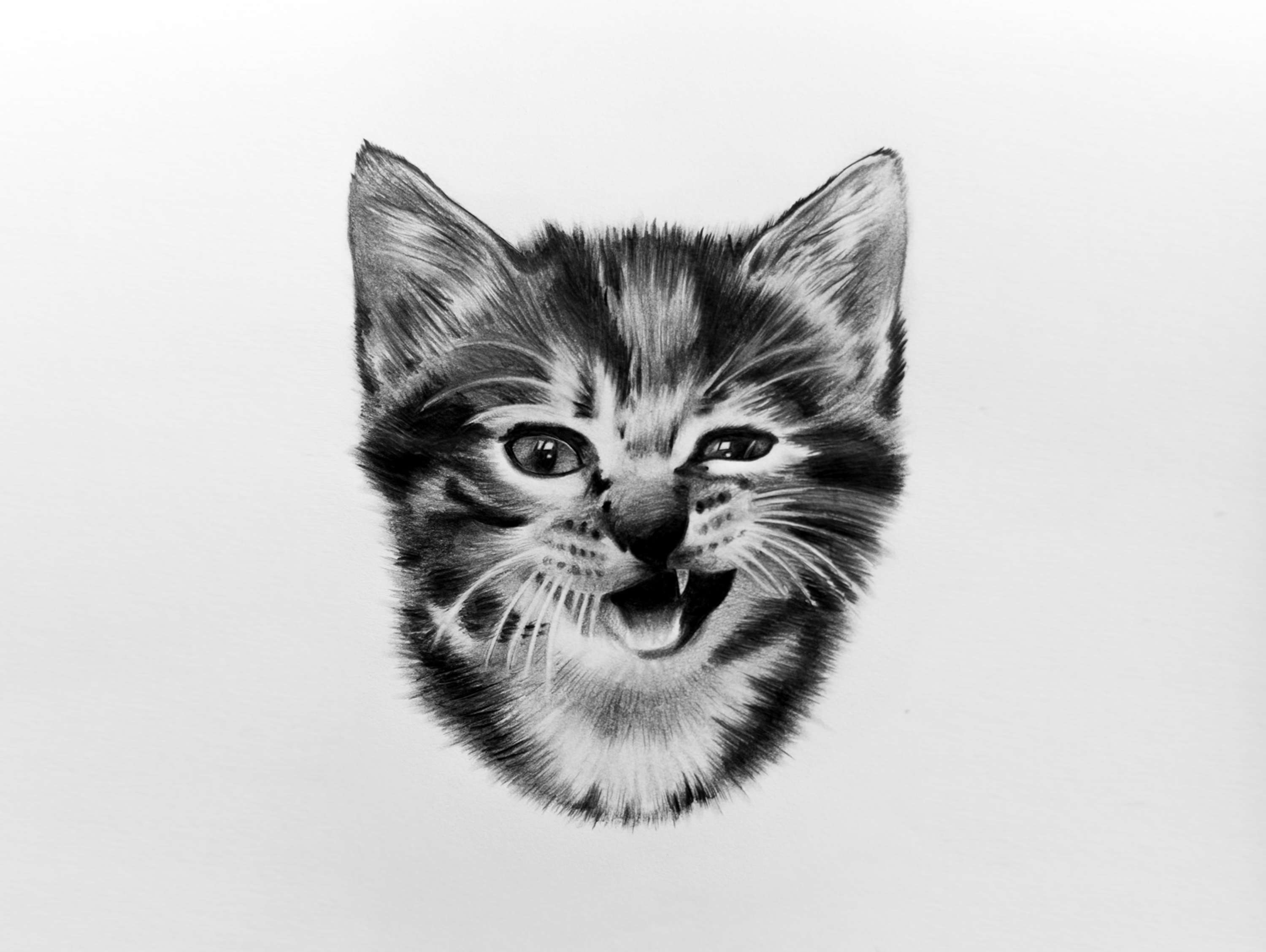 Kingdom Wear - Custom Illustrations by Alex Harris