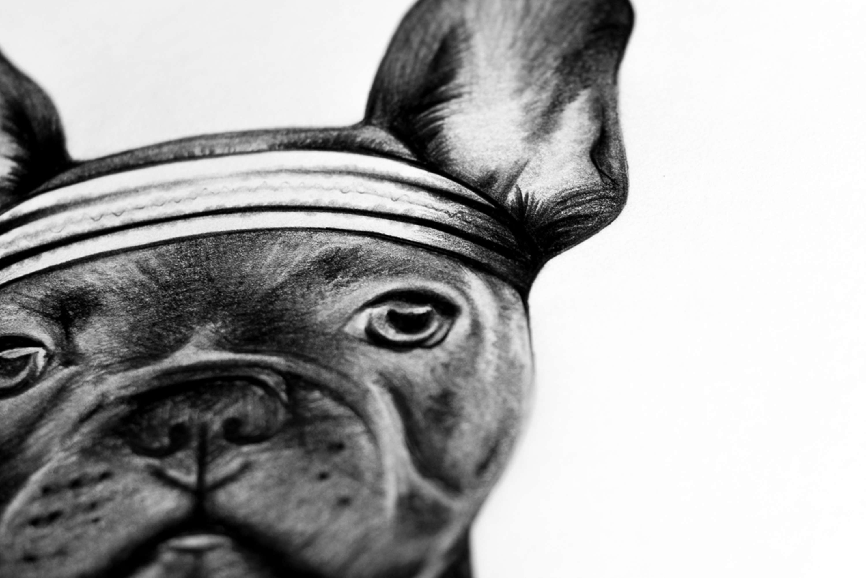 Kingdom Wear - Custom Illustrations by Alex Harris