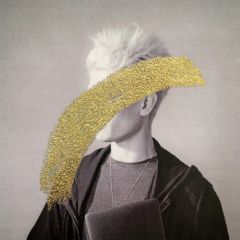 Robin Pringle