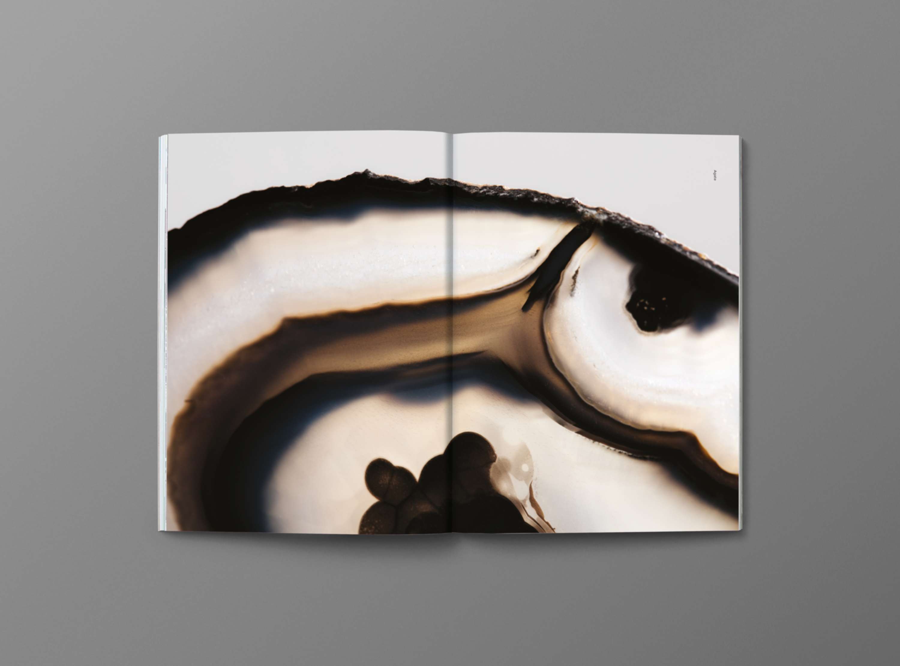 TwentySix Magazine Issue Two by Alicia Waite