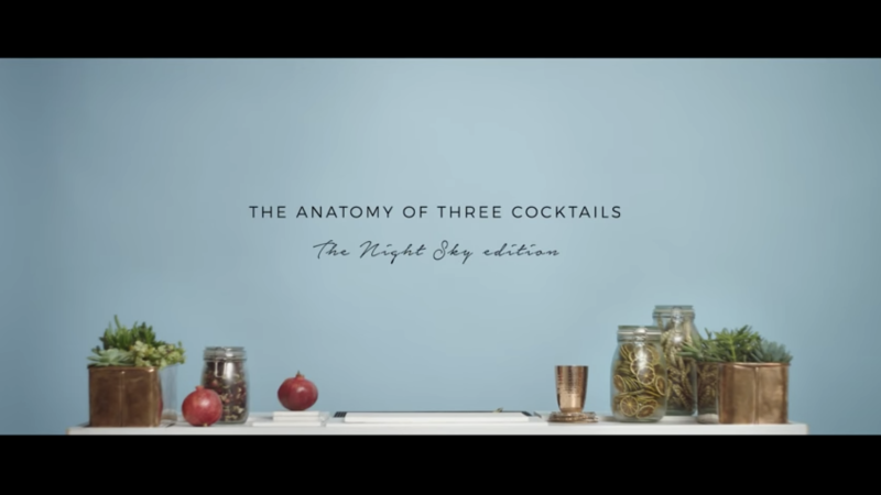 The Anatomy of Three Cocktails by Alicia Waite