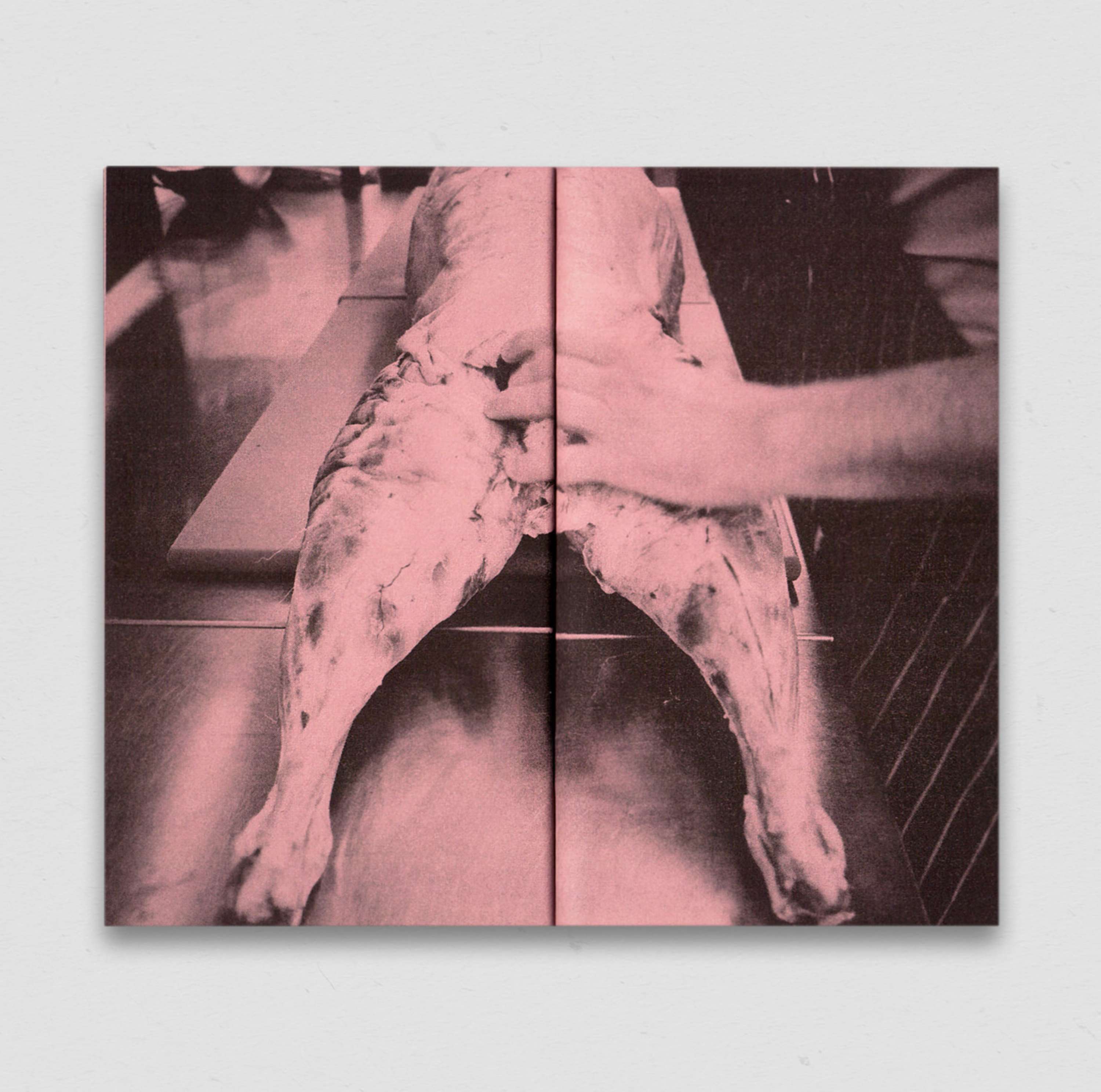 Raw by Vincenzo Lanziello