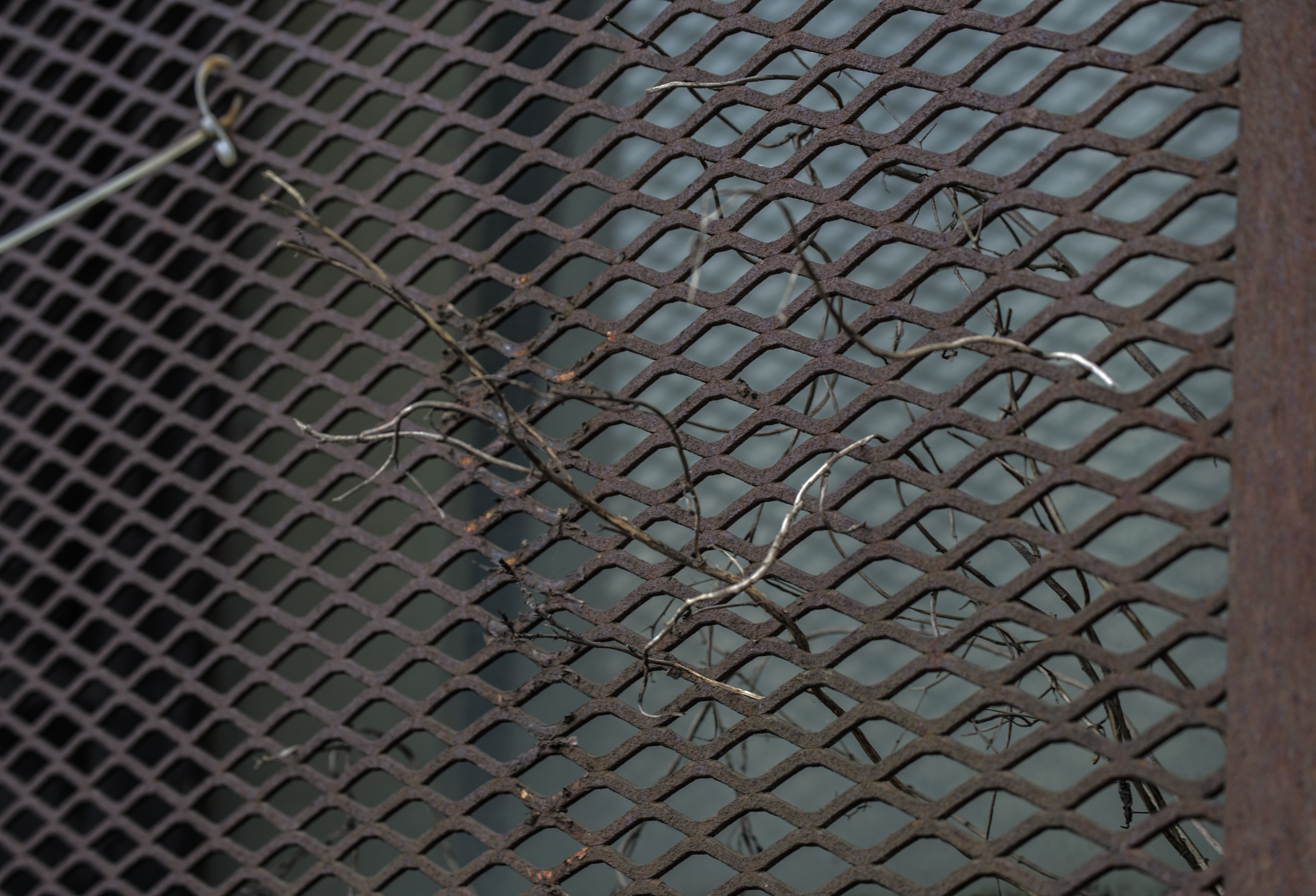 Natural and Man-made Borders by Courtney Birss