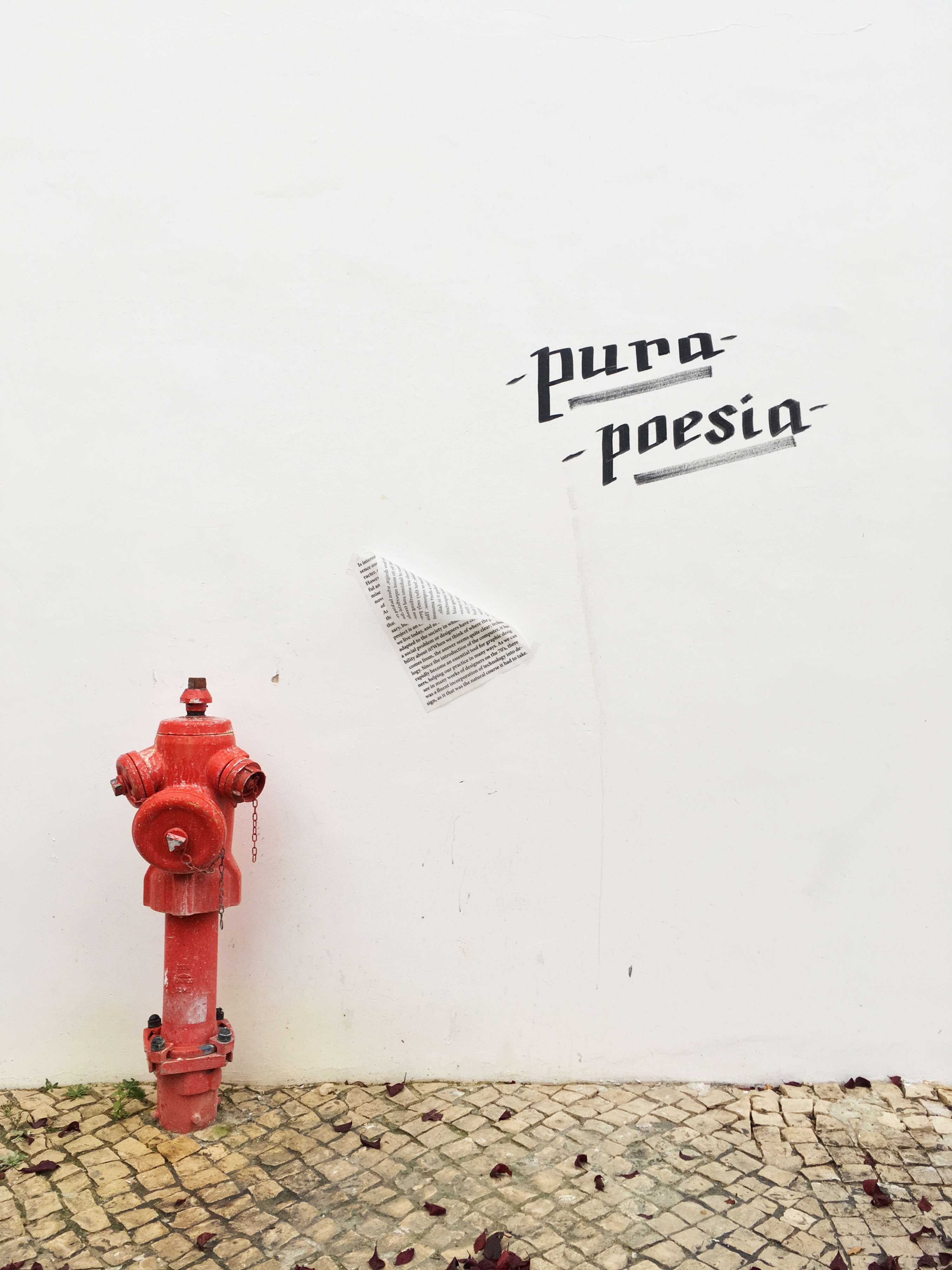 Processing Dogme 95 by Amalia Aranguren