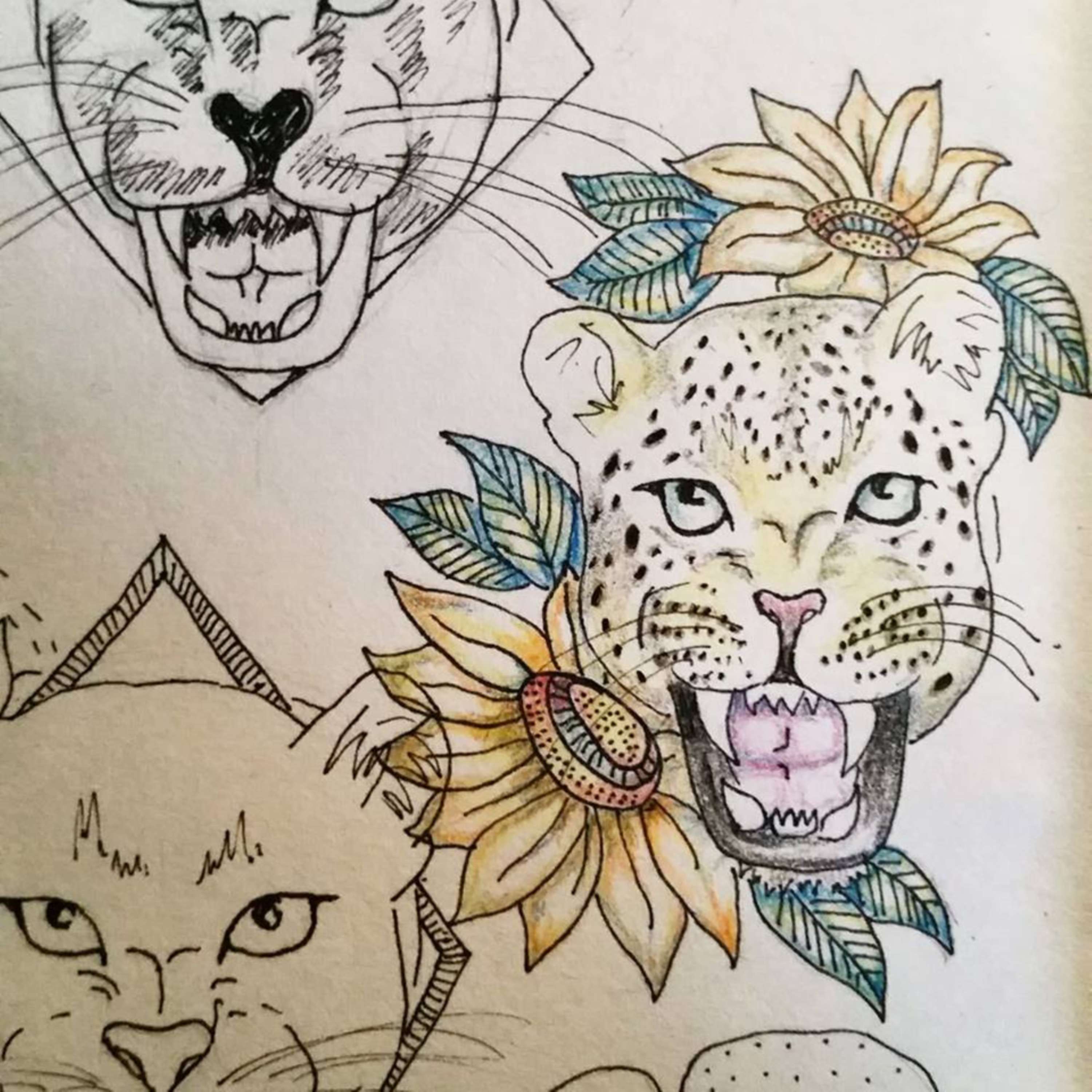 Drawings of things by Miranda Marchant