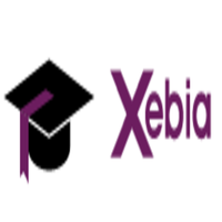 Xebia IT Architects India Private Limited logo
