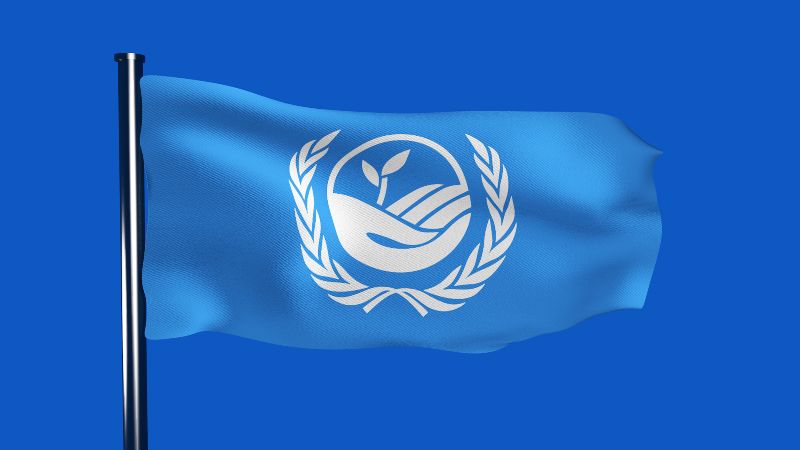 United Nations Convention to Combat Desertification Rebrand by Beth Johnson