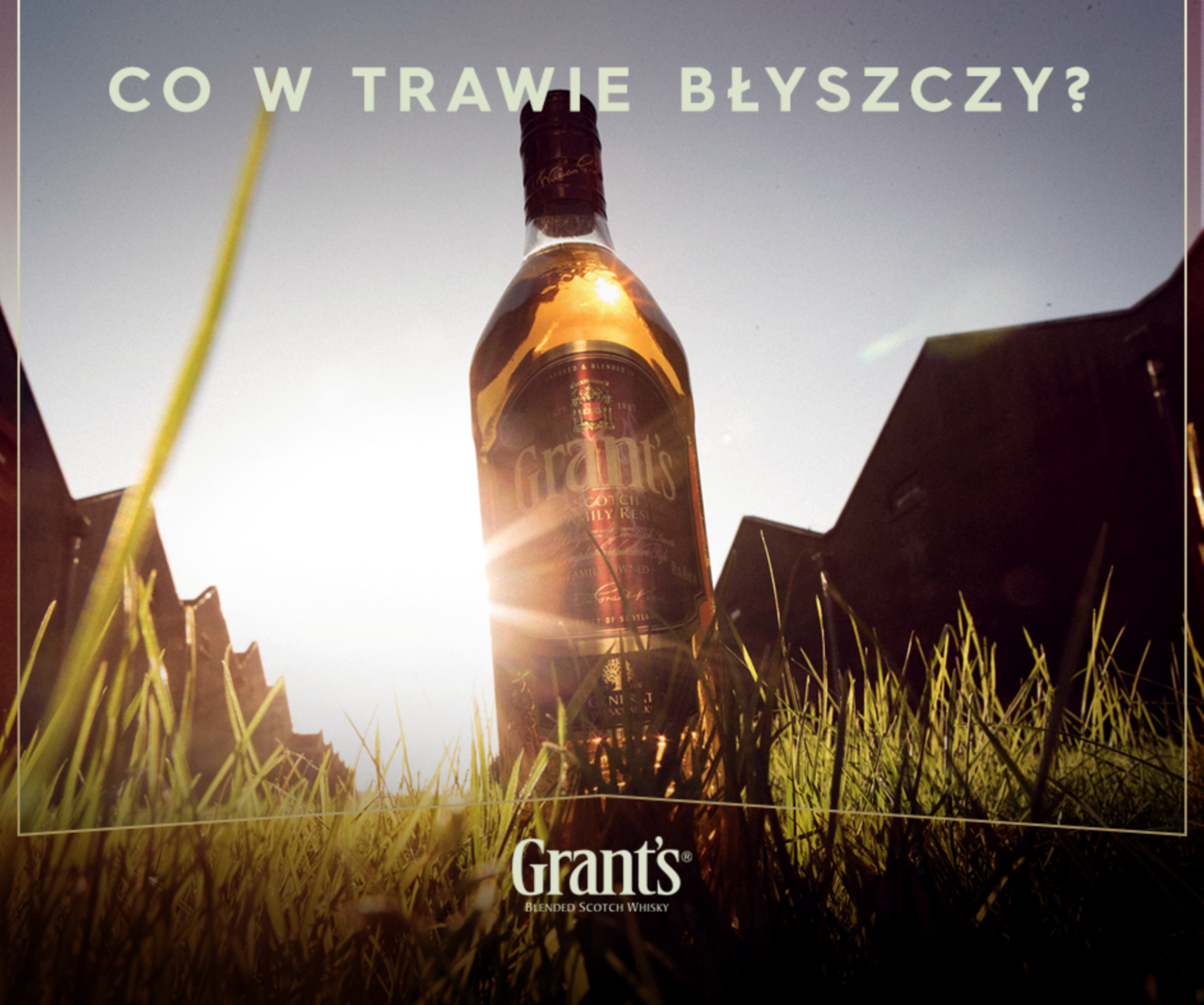 Grant's Facebook Content by Paulina Gwiazda