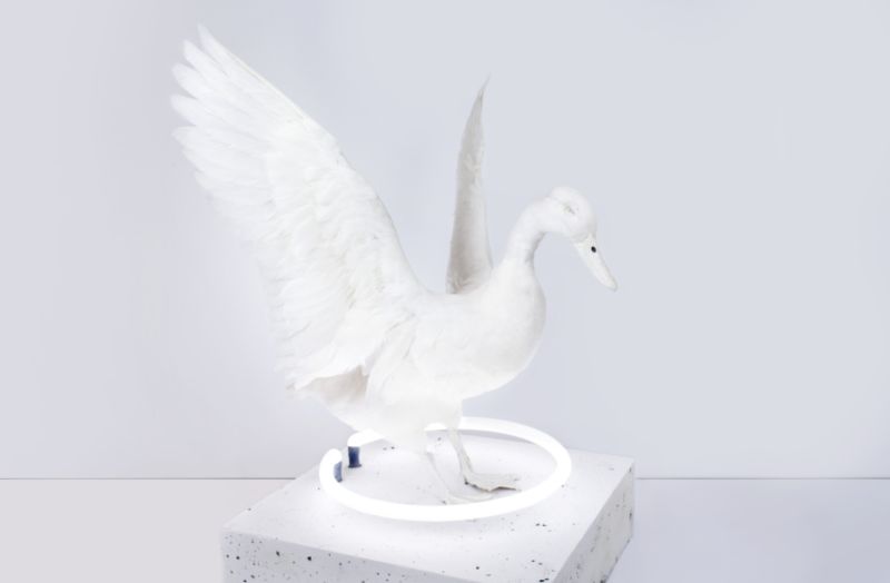 Owen by Harriet Horton