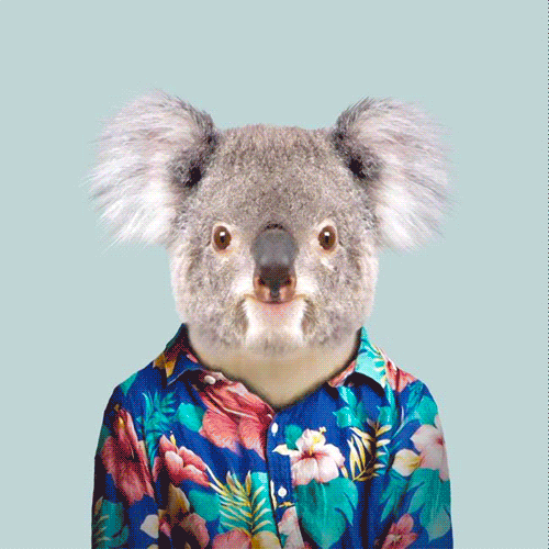 KOM-BOO-CHA™​​​​​​​ / Original animals characters by Vladimir Chinn
