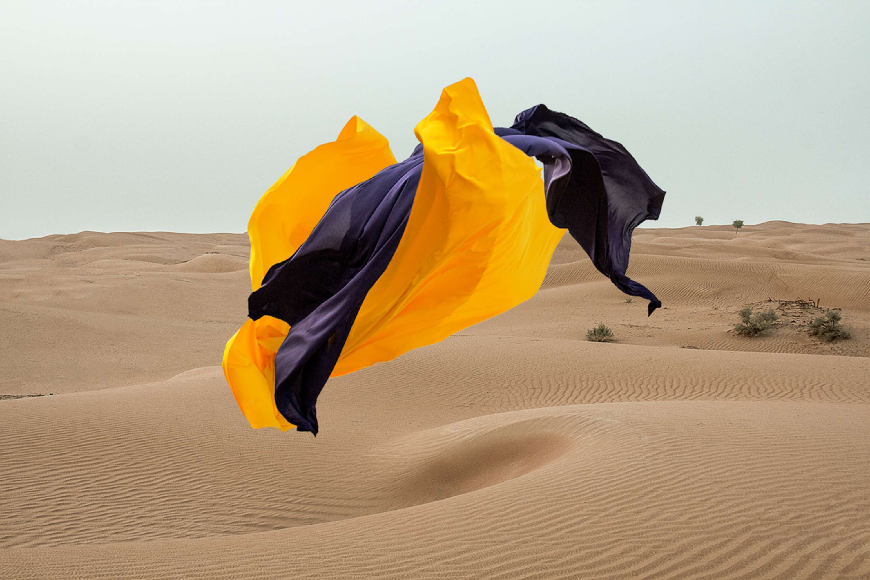 Fabric by Ryan Romanes Studio