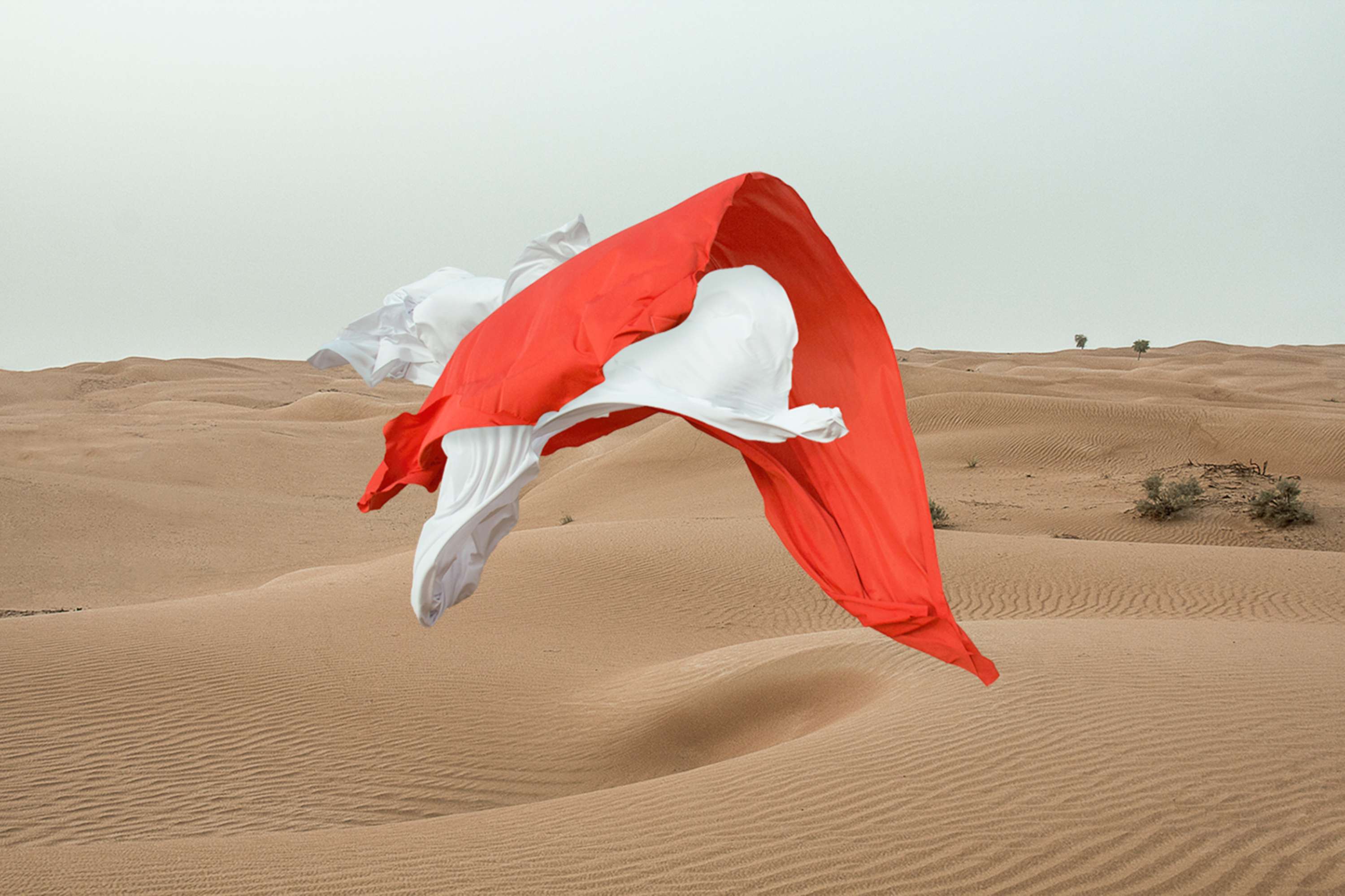Fabric by Ryan Romanes Studio