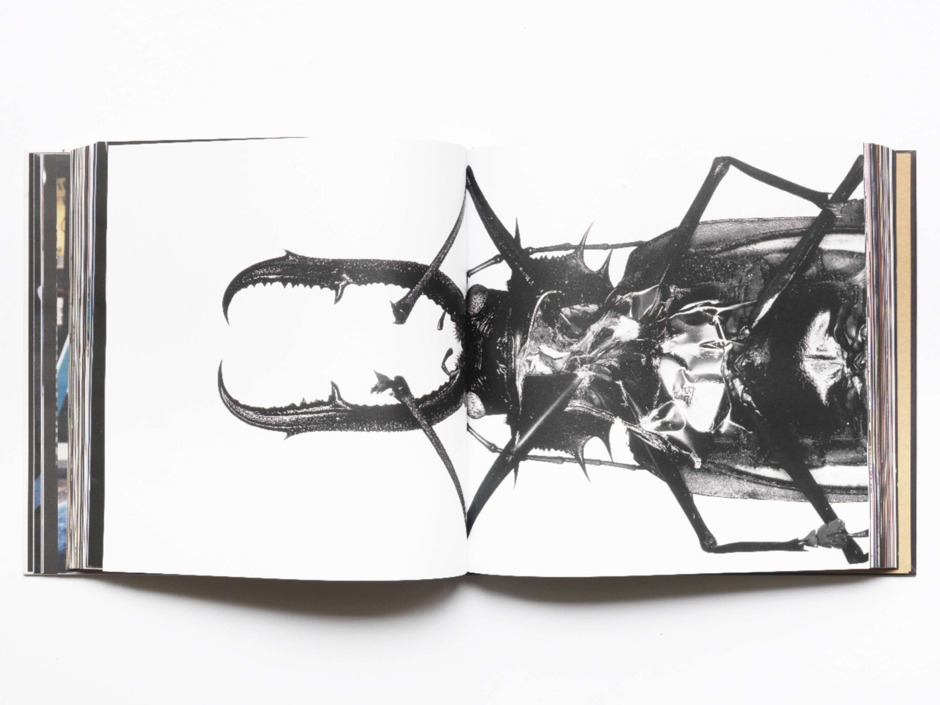 Massive Attack — The Art Of 3D by StudioPensom