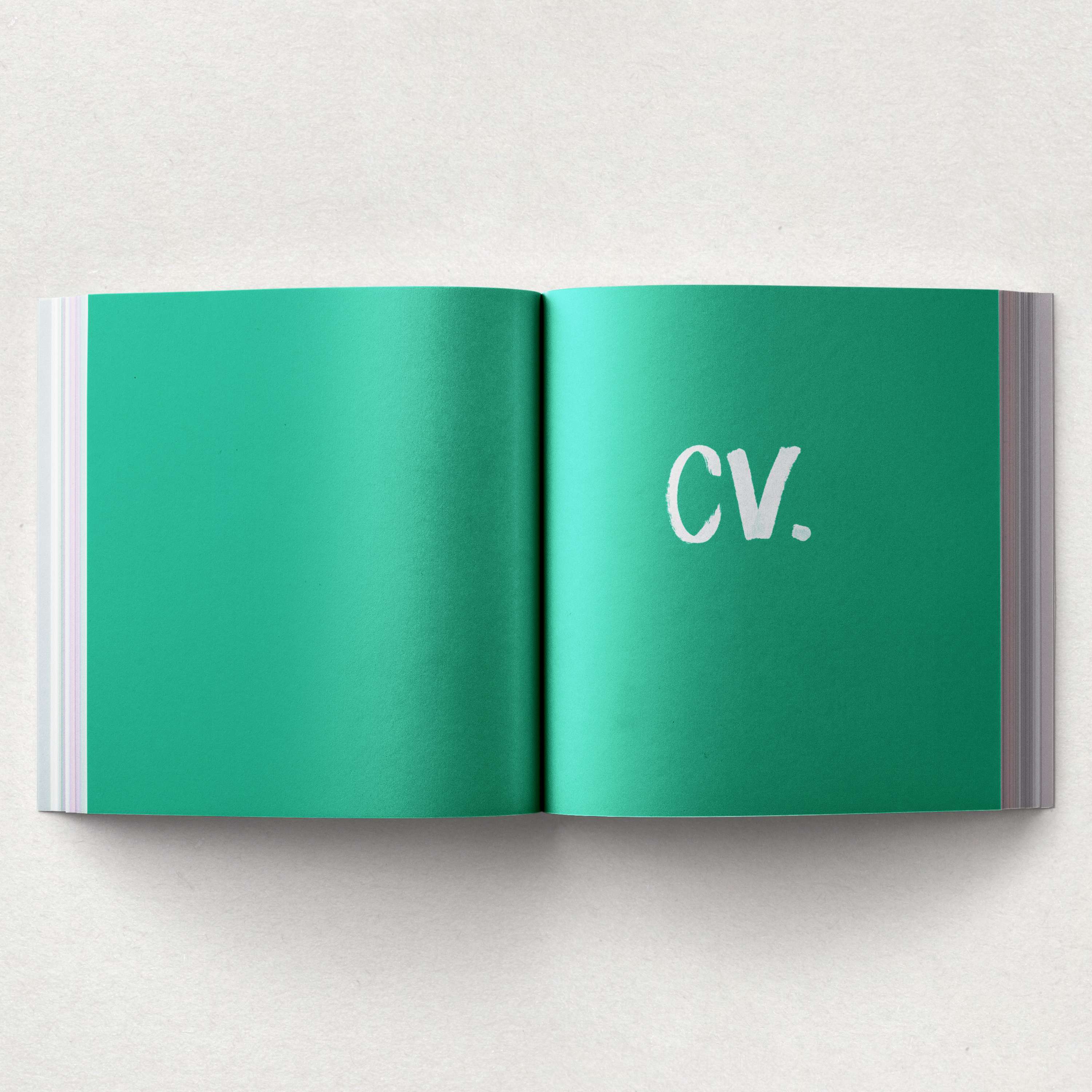 Curriculum Vitae Harry Oakley by Harry Oakley